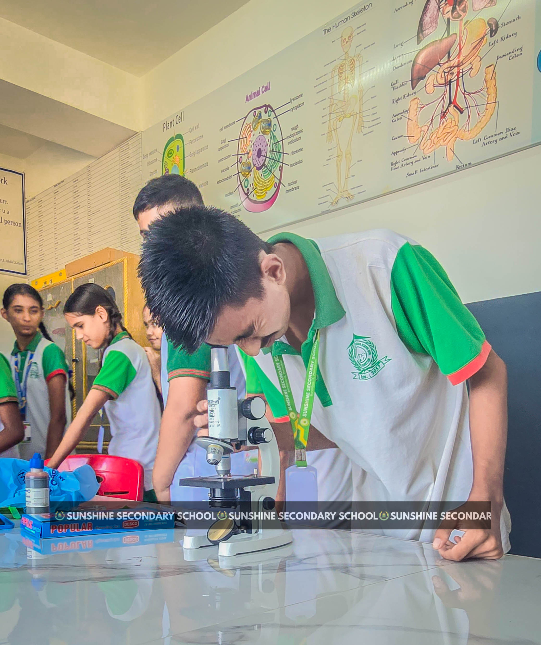 Class Seven Student exploring the atomic world