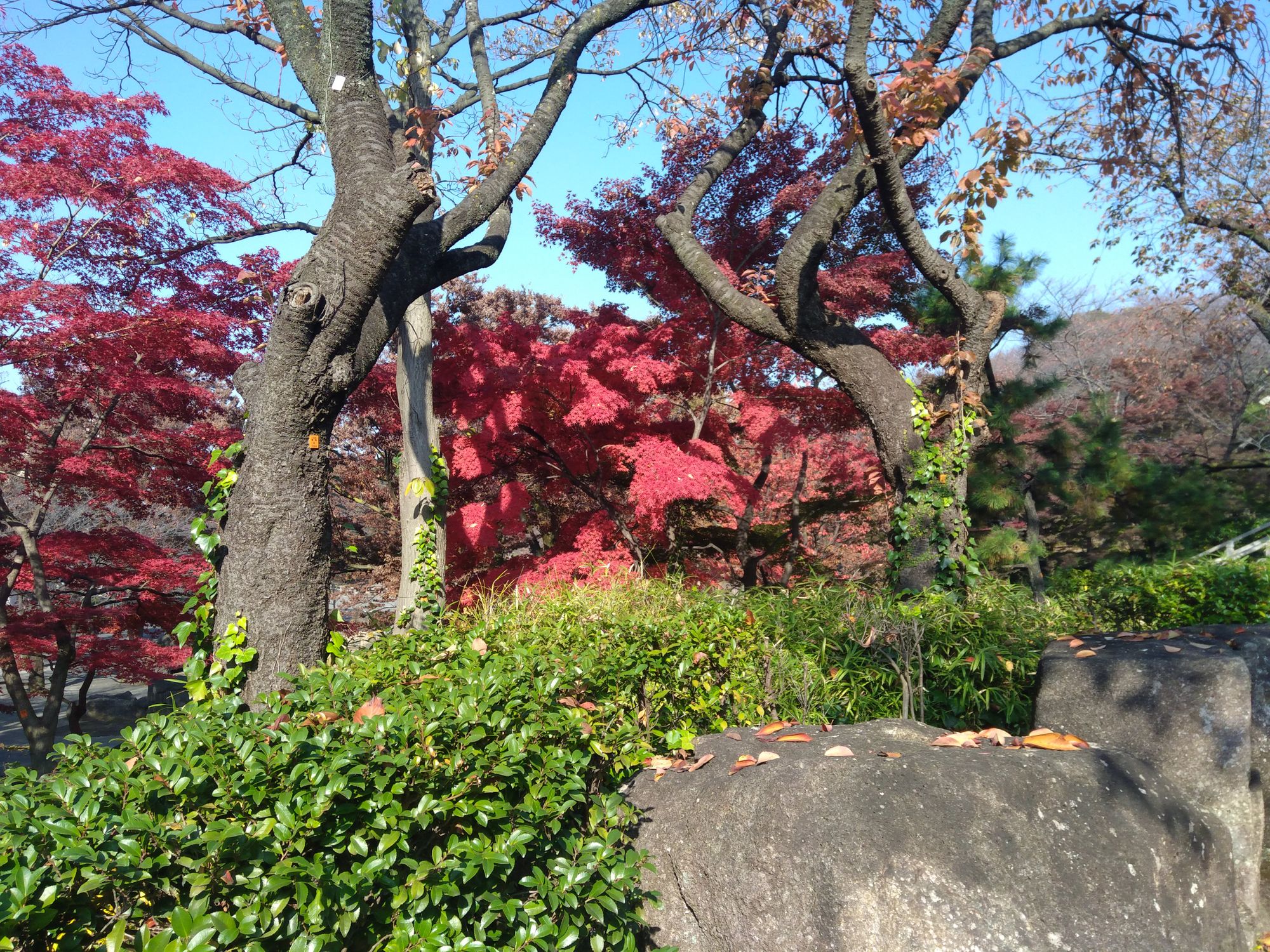 モチベーション