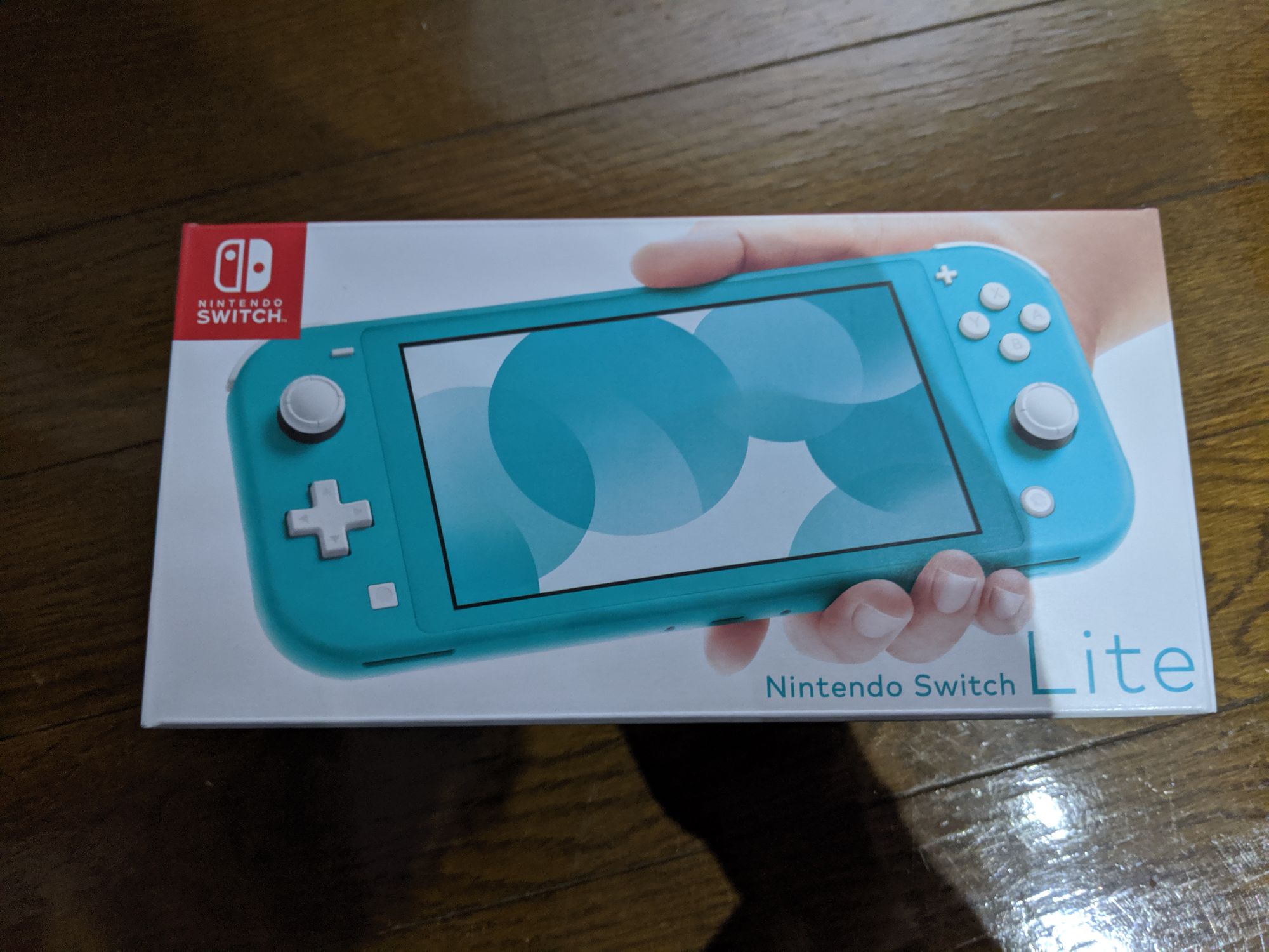 Switch Liteを買っていた