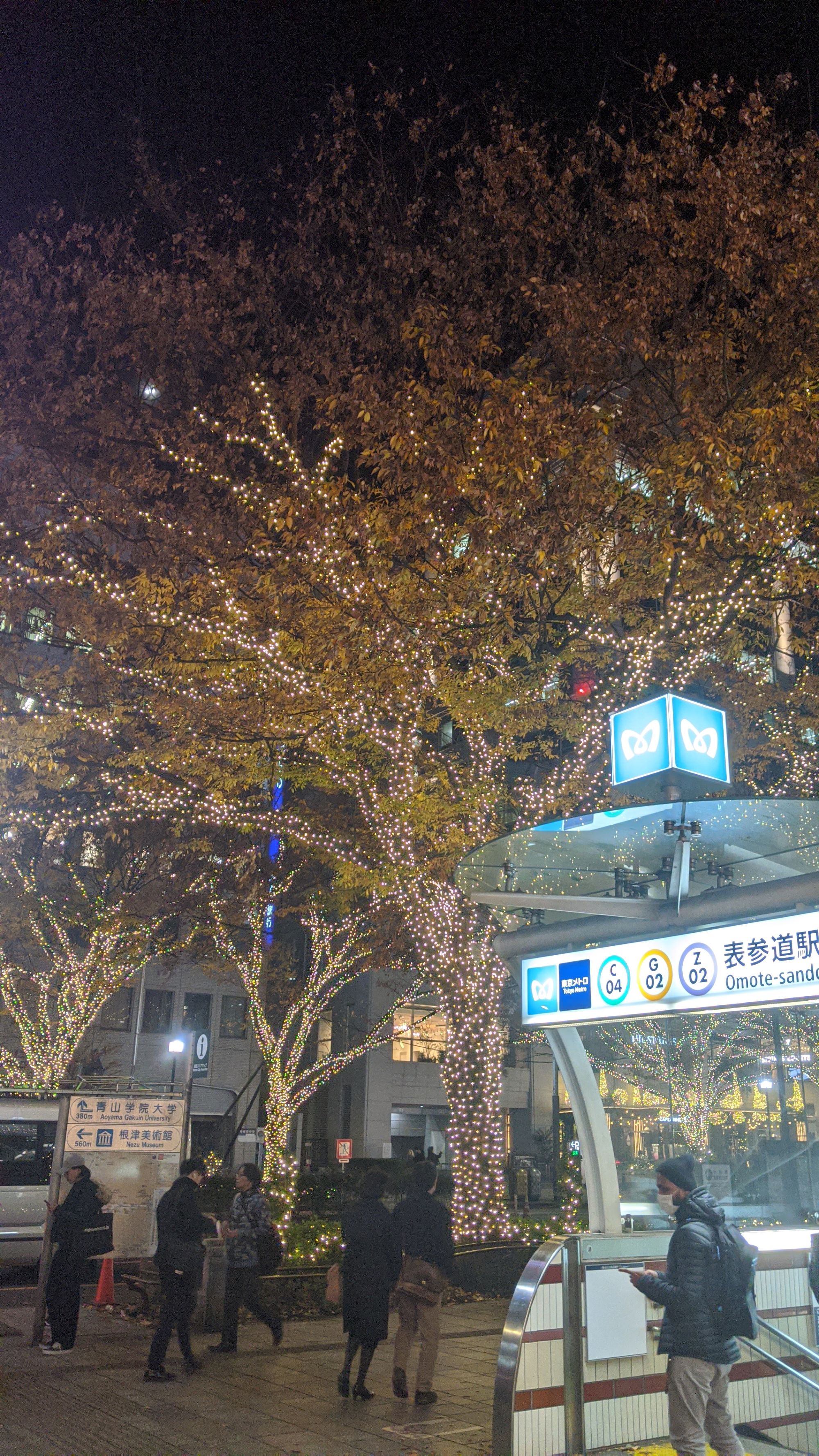 半生めいたもの