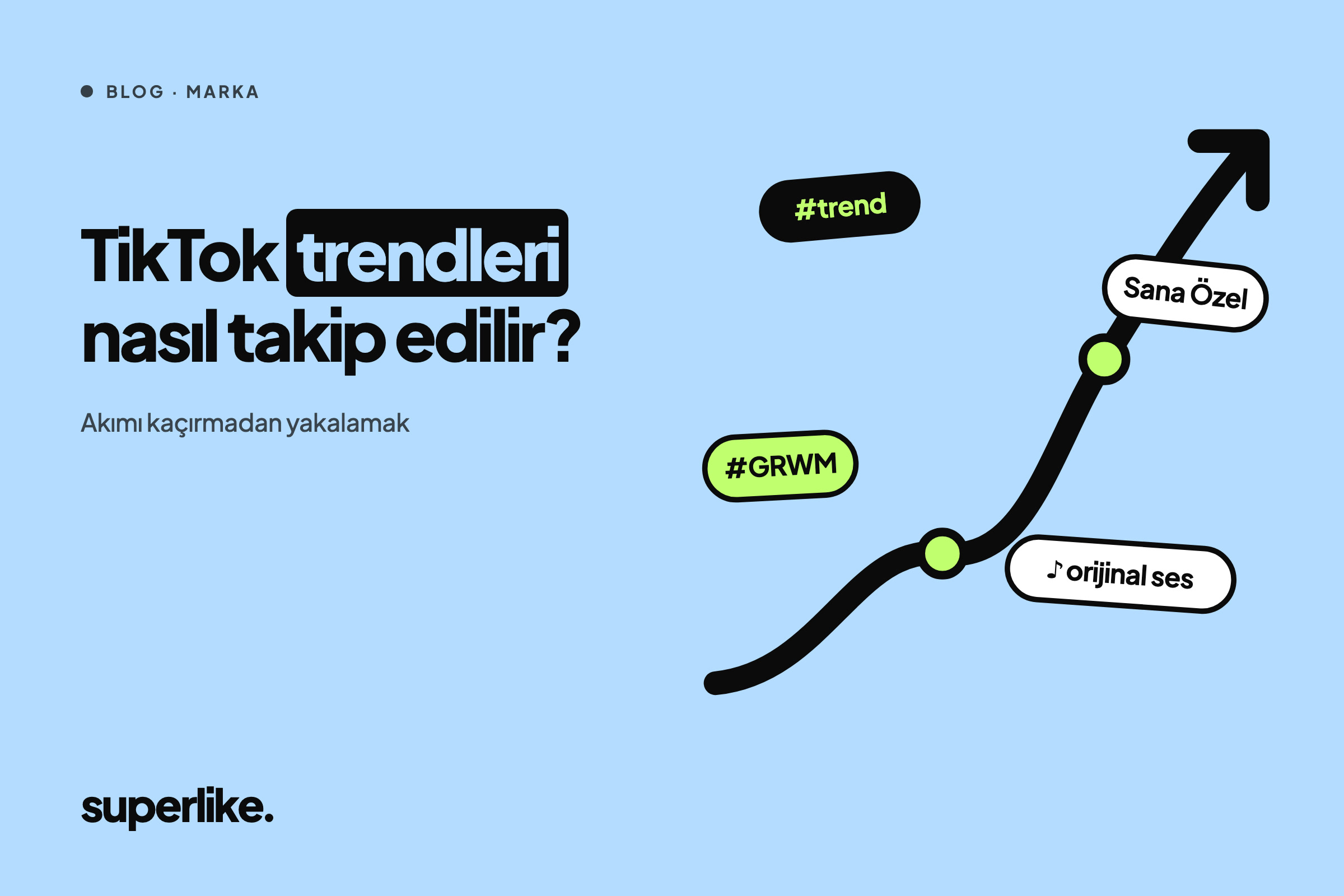 TikTok Trendleri Nasıl Takip Edilir?