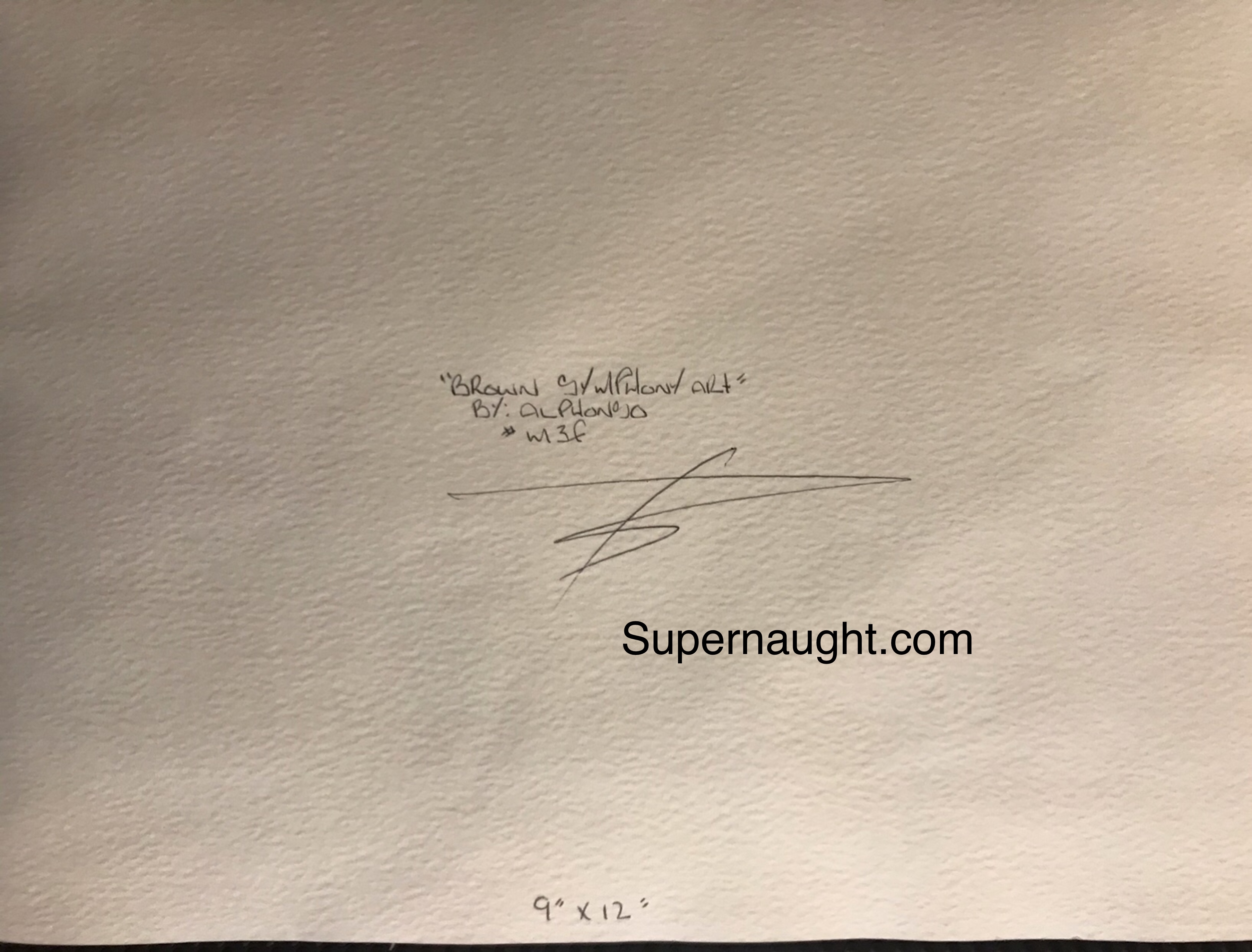 Alphonso Howard W13F Painting Signed image 2