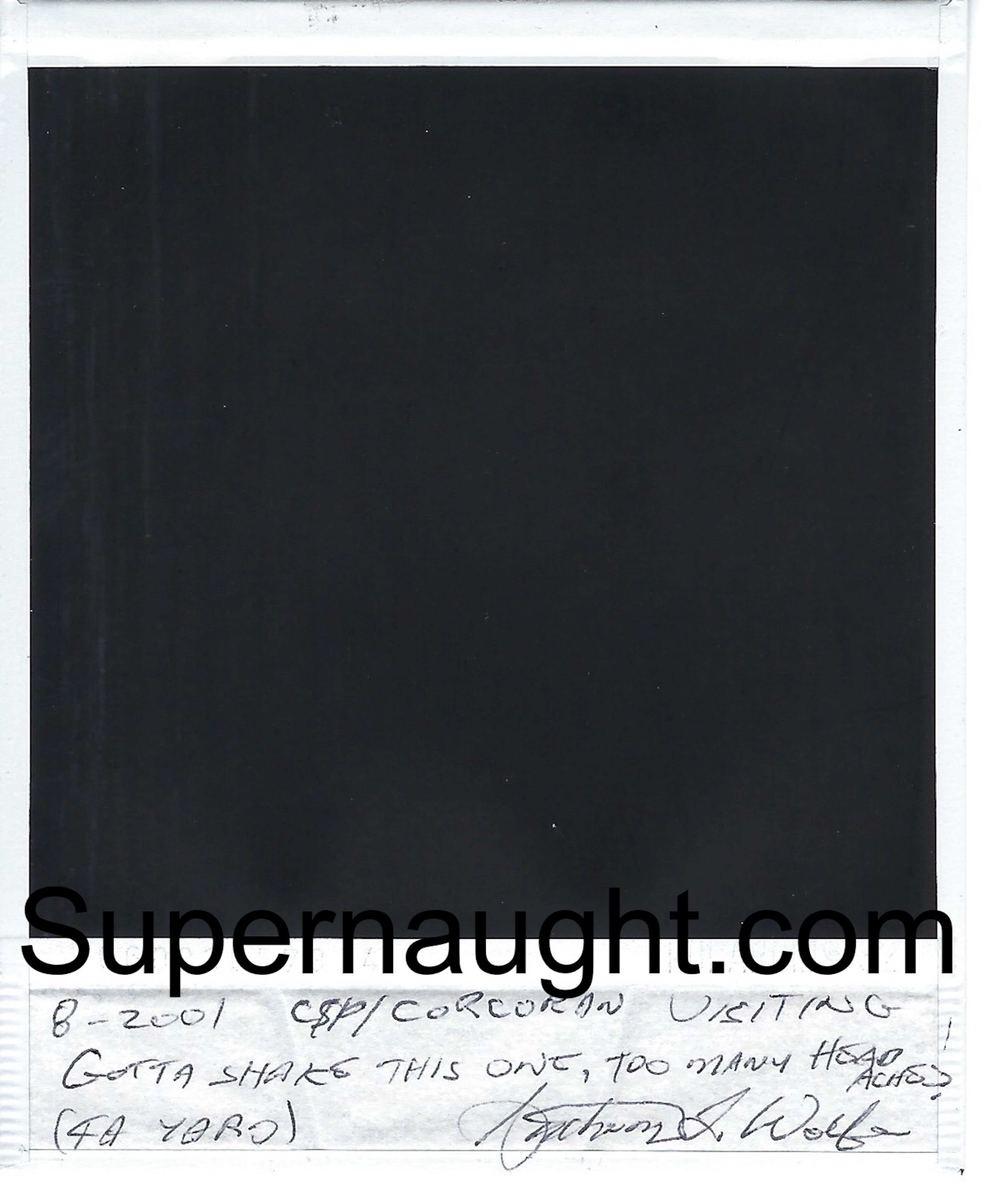 Anthony Wolfe Signed Polaroid image 2