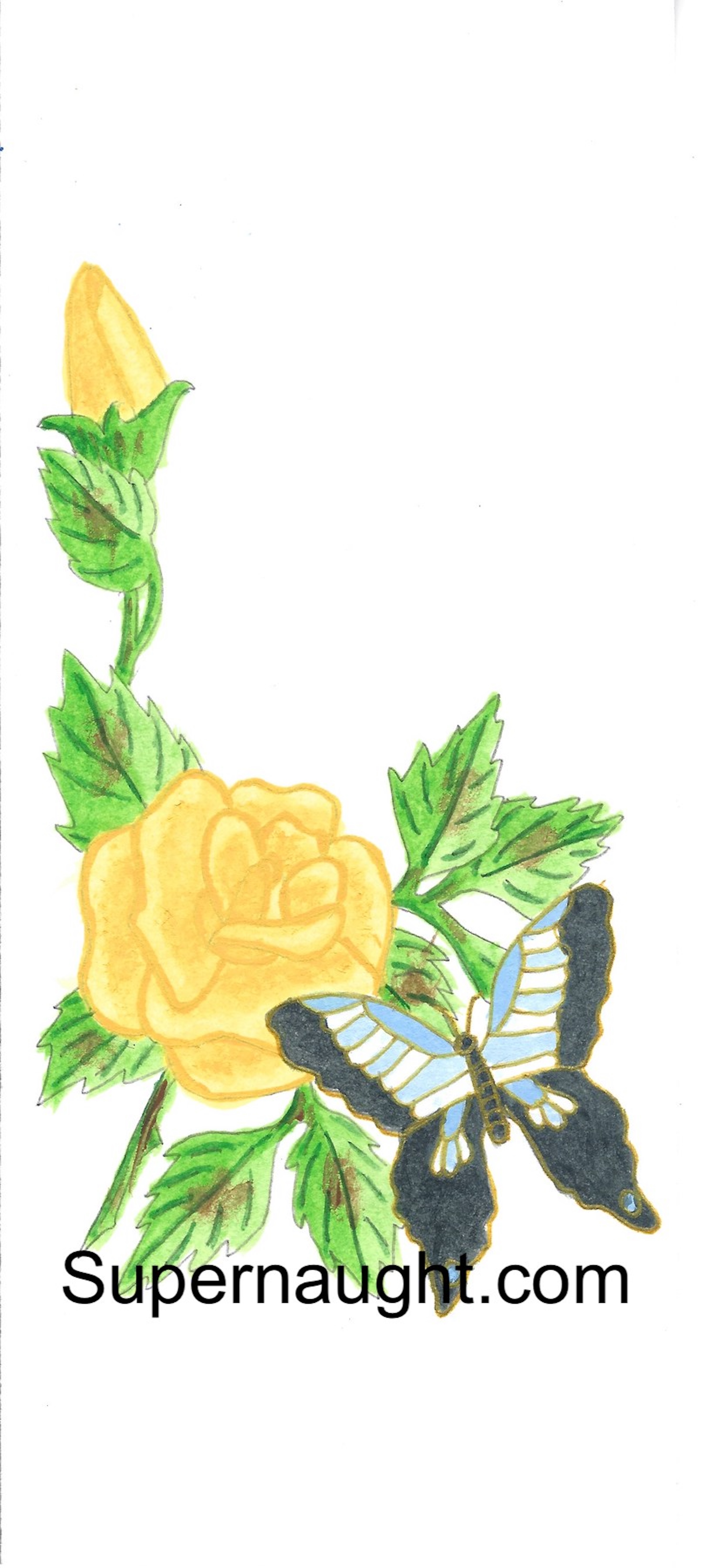 Arch Sloan Butterfly Rose Artwork Signed