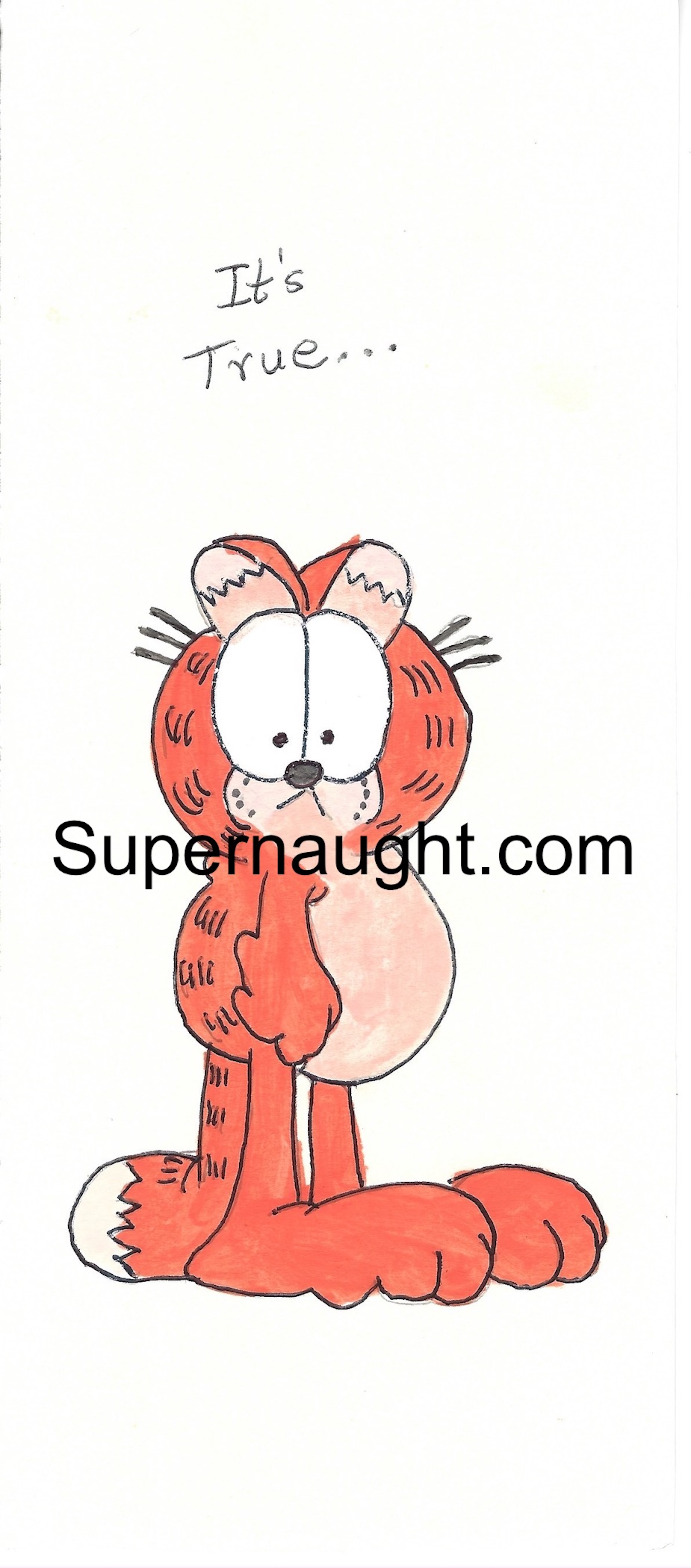 Arch Sloan Garfield Card Artwork Signed
