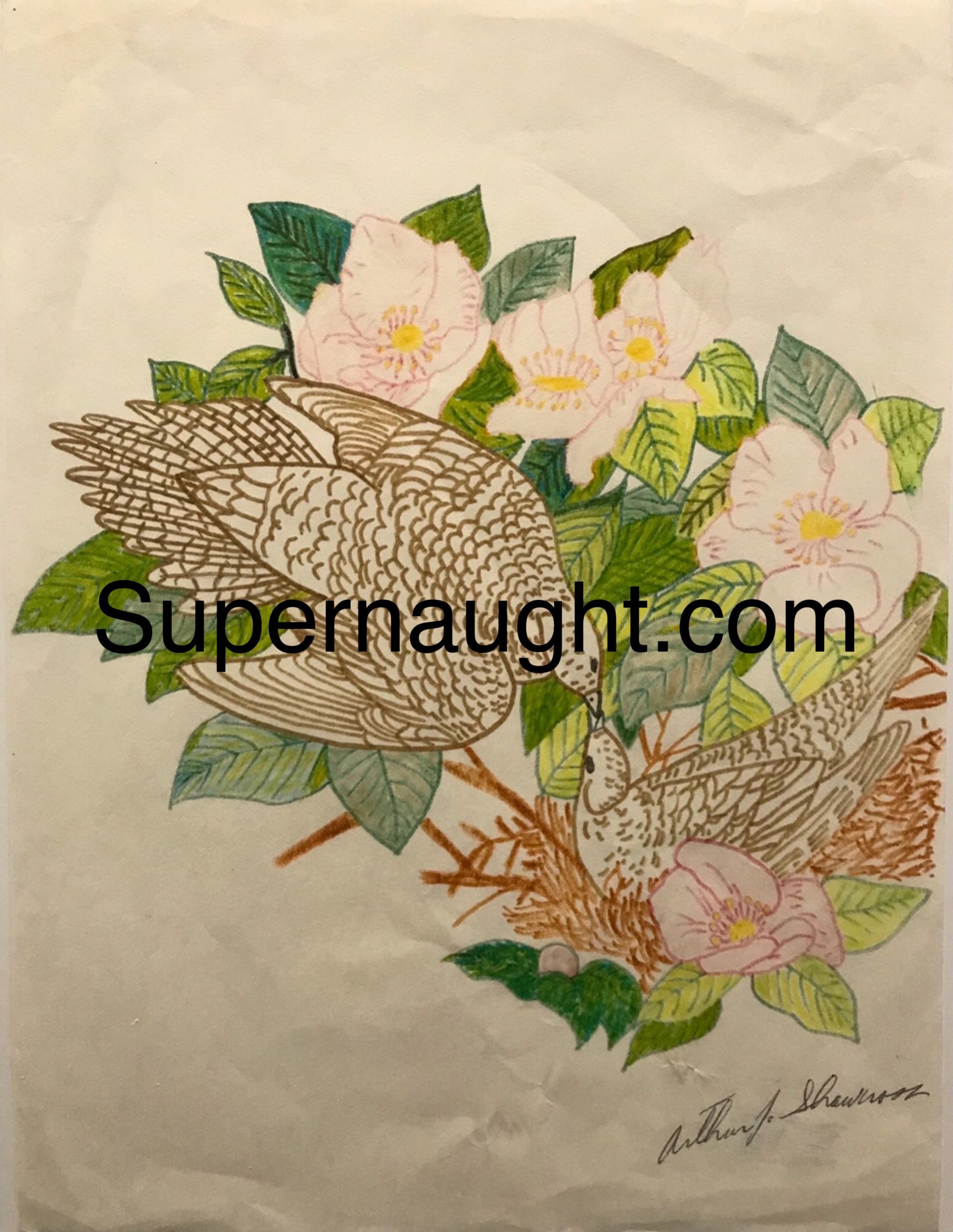 Arthur Shawcross Birds Drawing Signed with Thumbprint