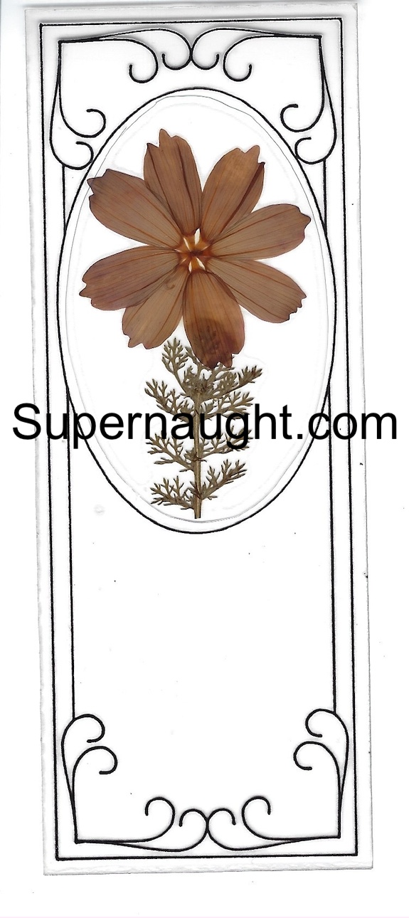 Bobby Beausoleil Bookmark