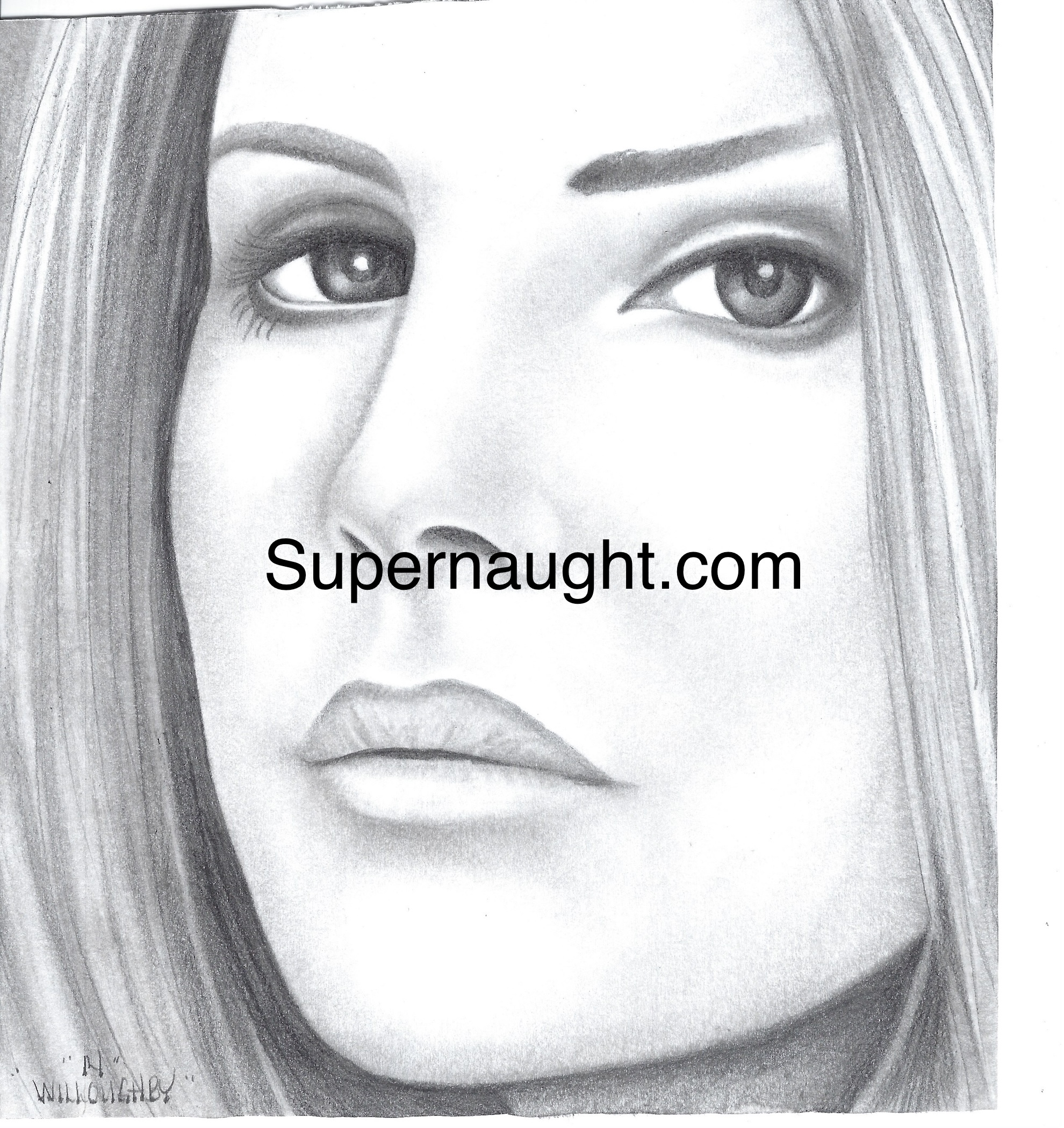Bradley Willoughby Lana Del Rey Portrait Signed