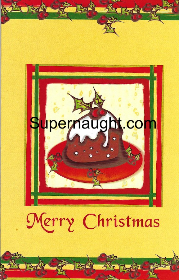 Catherine Birnie Christmas Card with Envelope Both Signed image 2