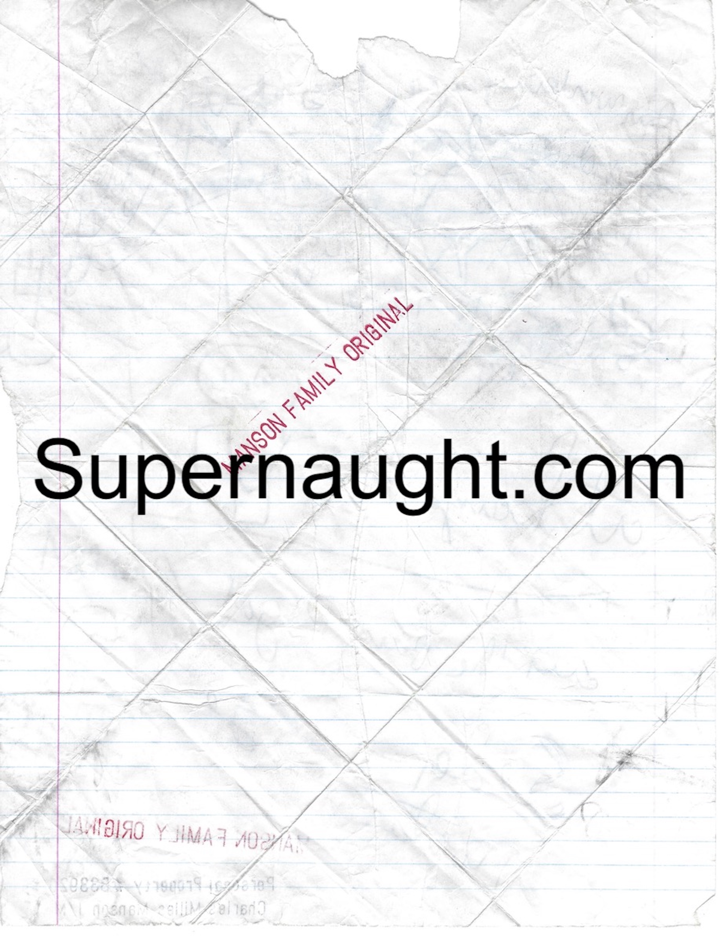Charles Manson Bag Making Instructions image 2