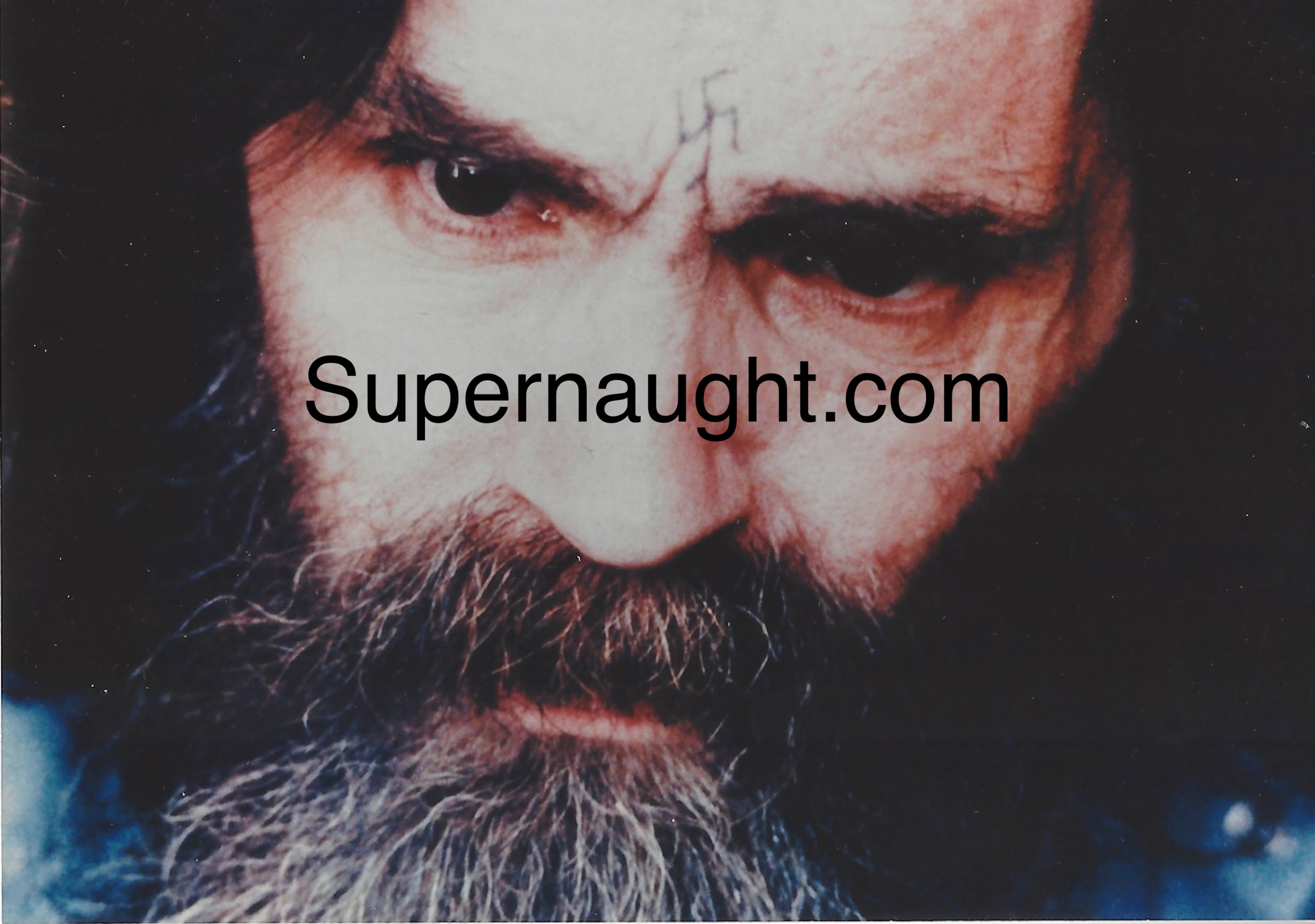 Charles Manson Close Up Prison Photo