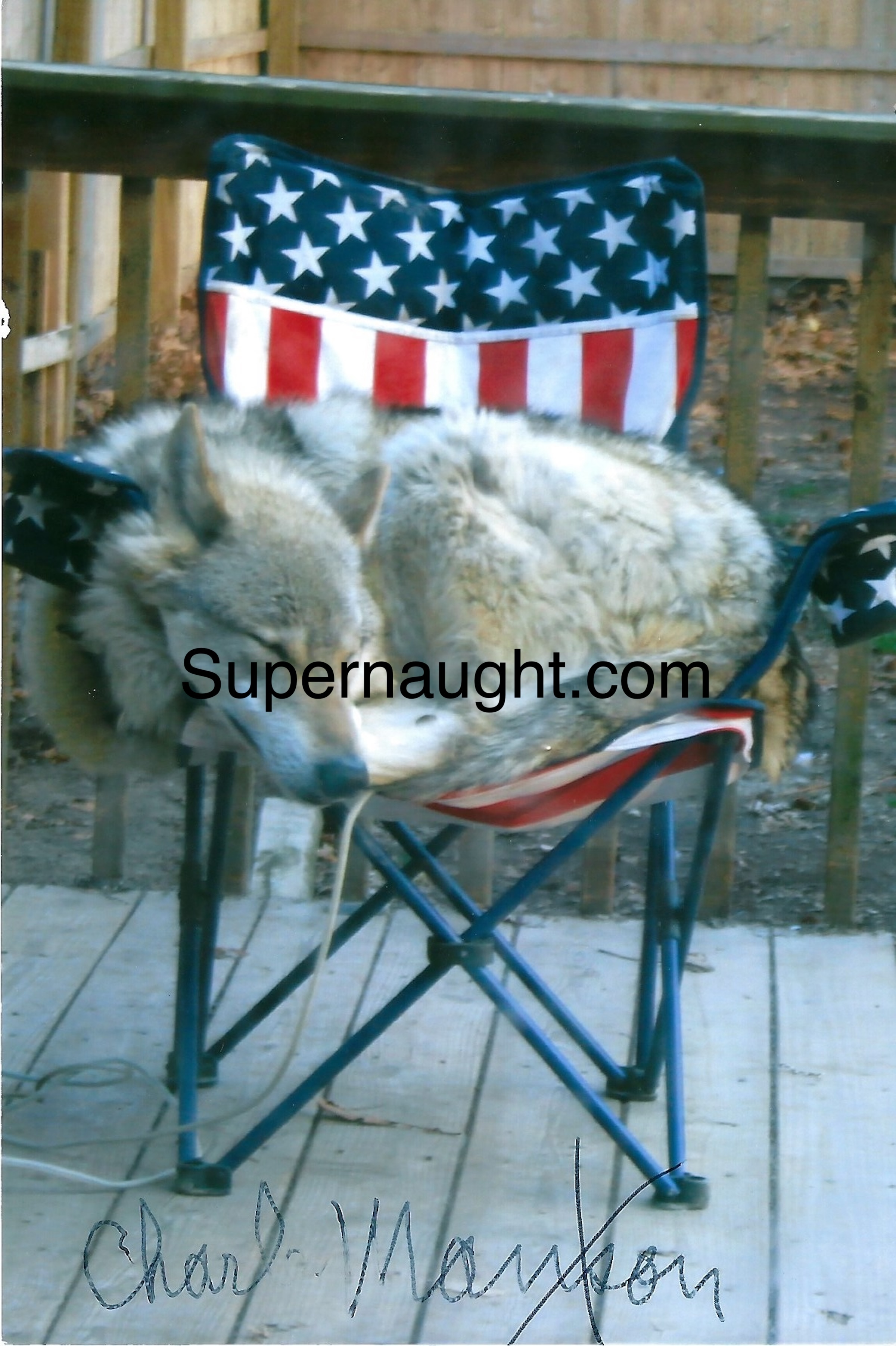 Charles Manson Signed Dog Photo