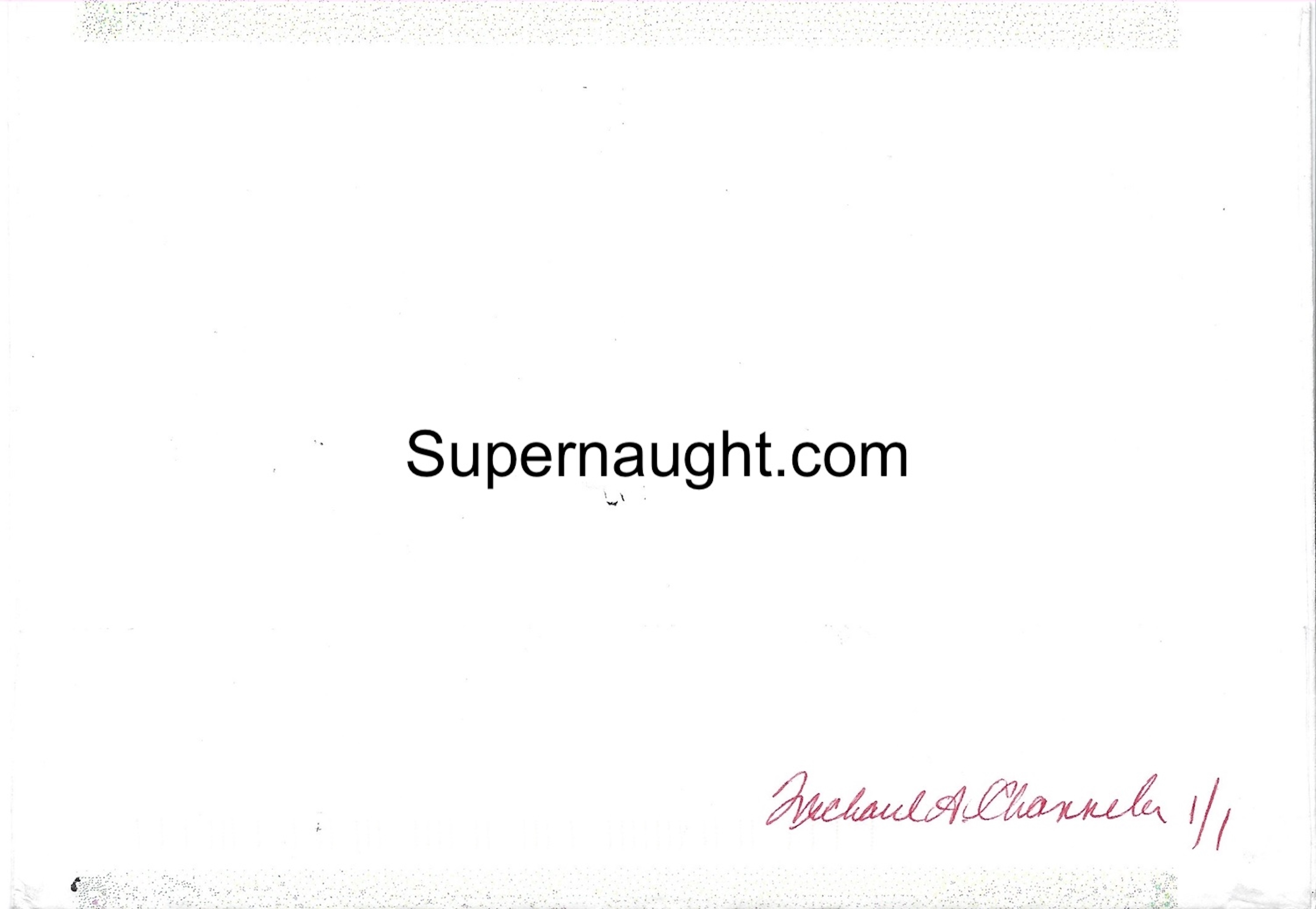 Charles Manson Y2K End of the World Postmarked Dec 31 1999 image 2