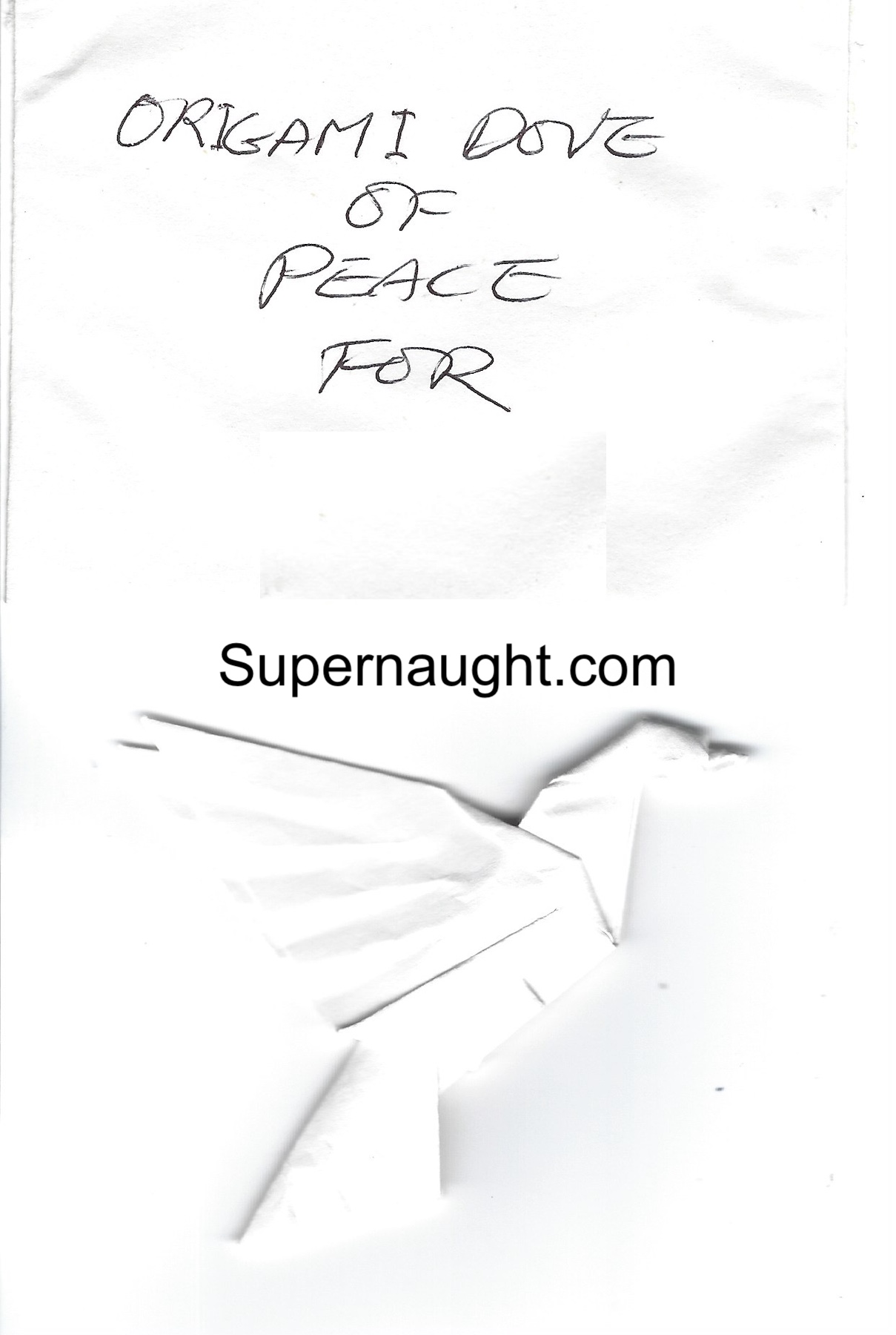 Charles Ng Letter and Envelope Both Signed with Dove Origami image 3