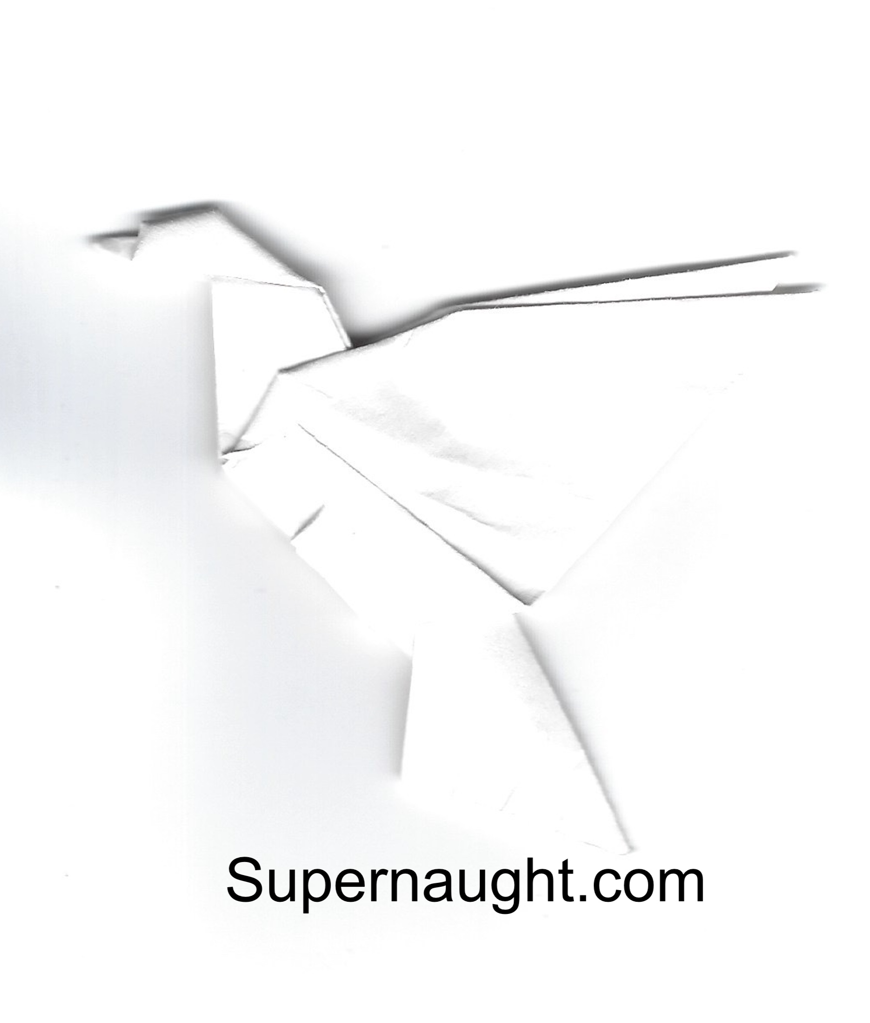Charles Ng Letter and Envelope Both Signed with Dove Origami image 6