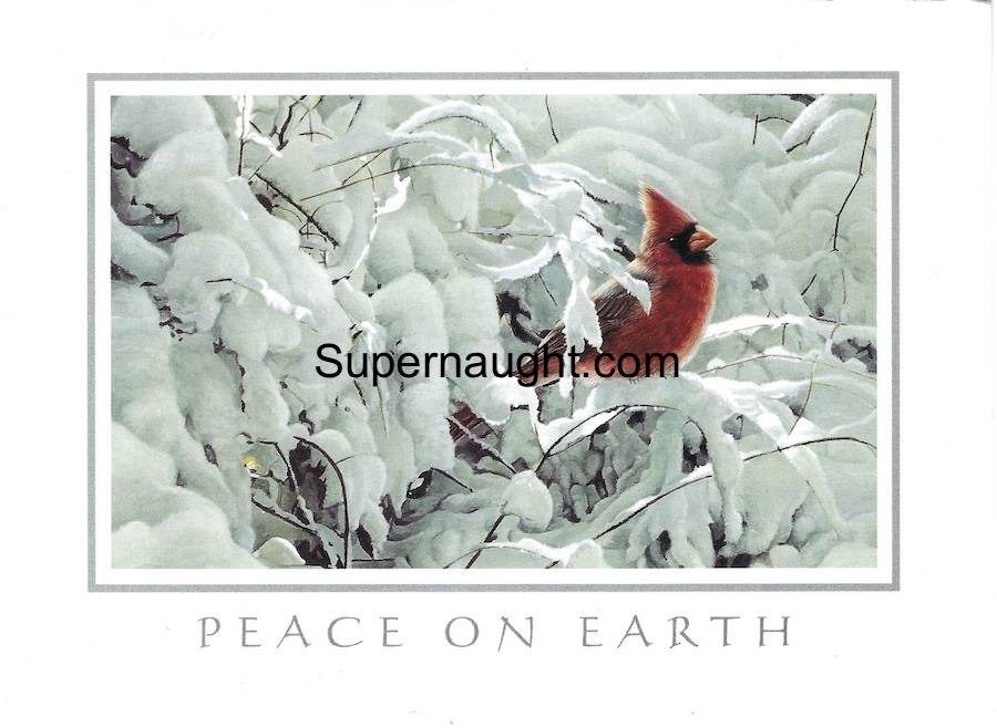 Charles Ng Peace on Earth Card and Envelope Both Signed image 2