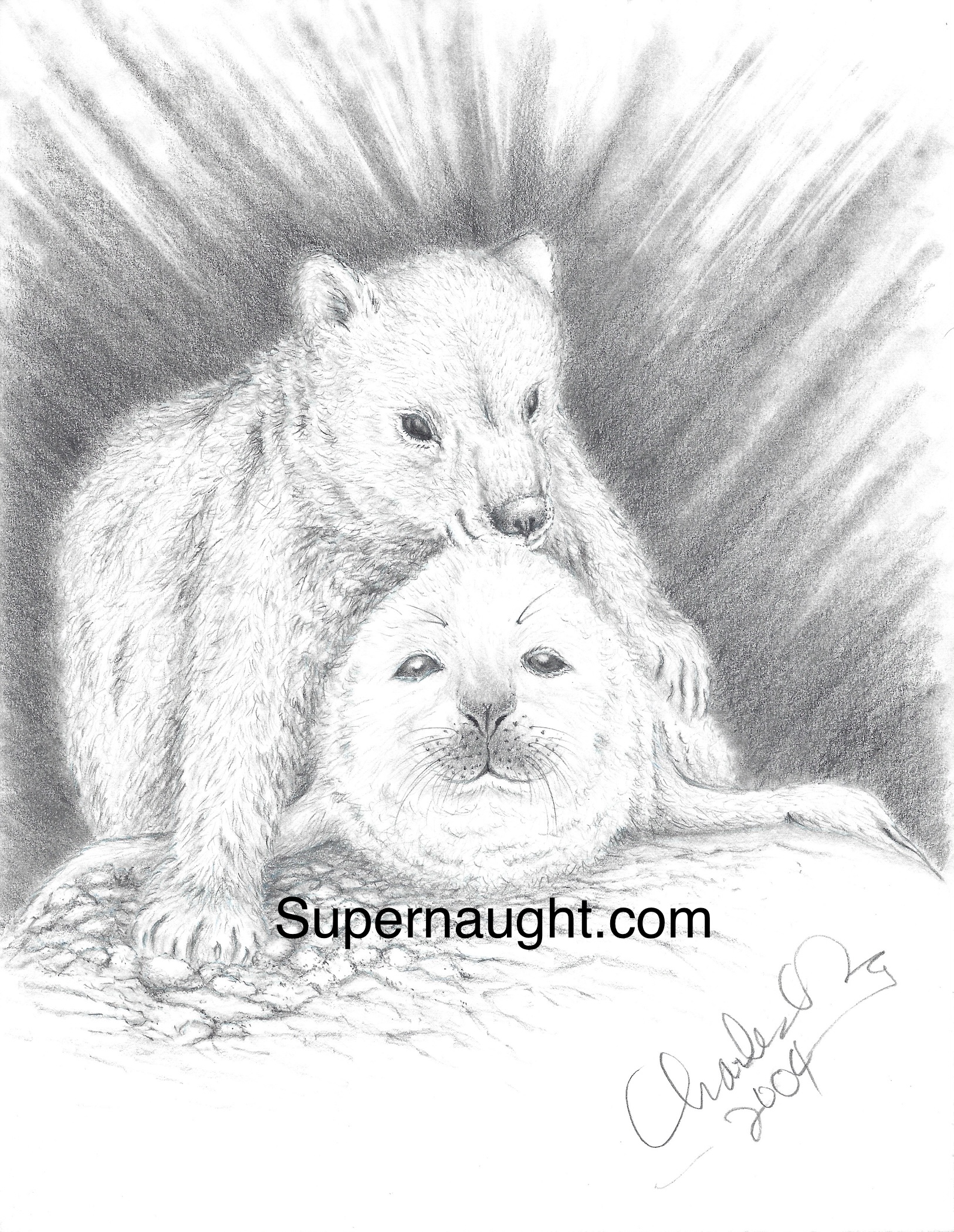 Charles Ng Signed Artwork