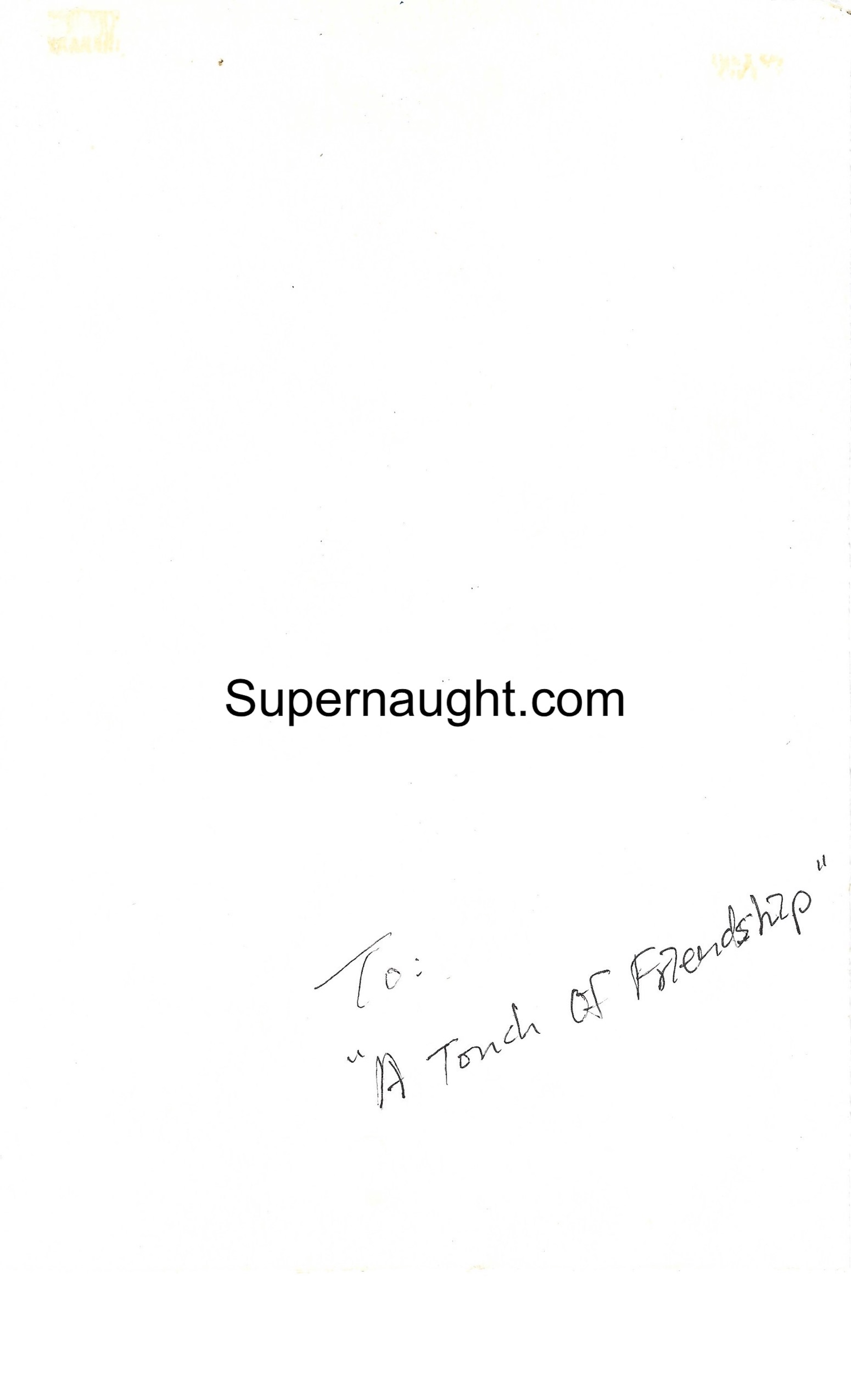 Charles Ng Signed Touch of Friendship Artwork image 2