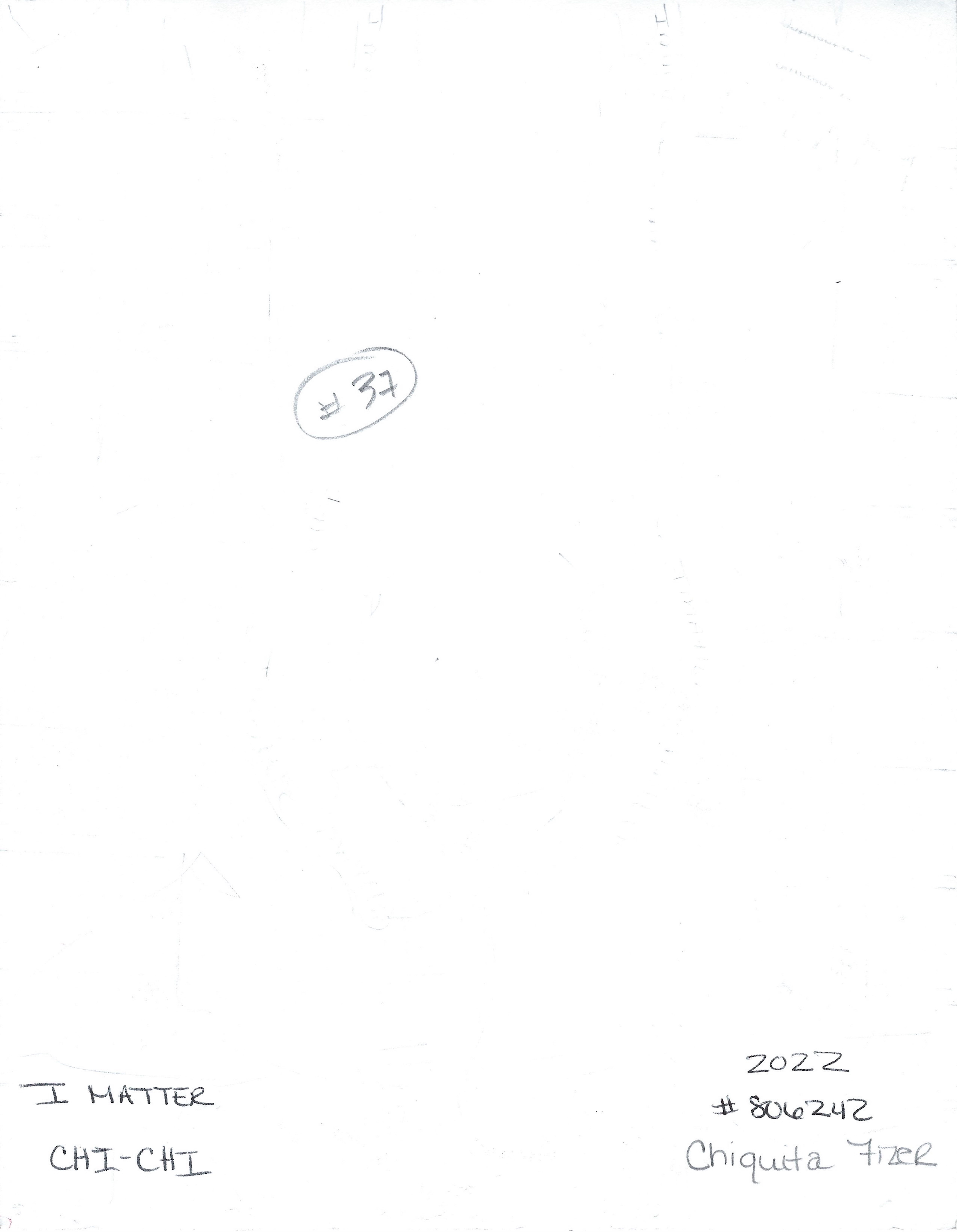 Chiquita Fizer Artwork Signed image 2
