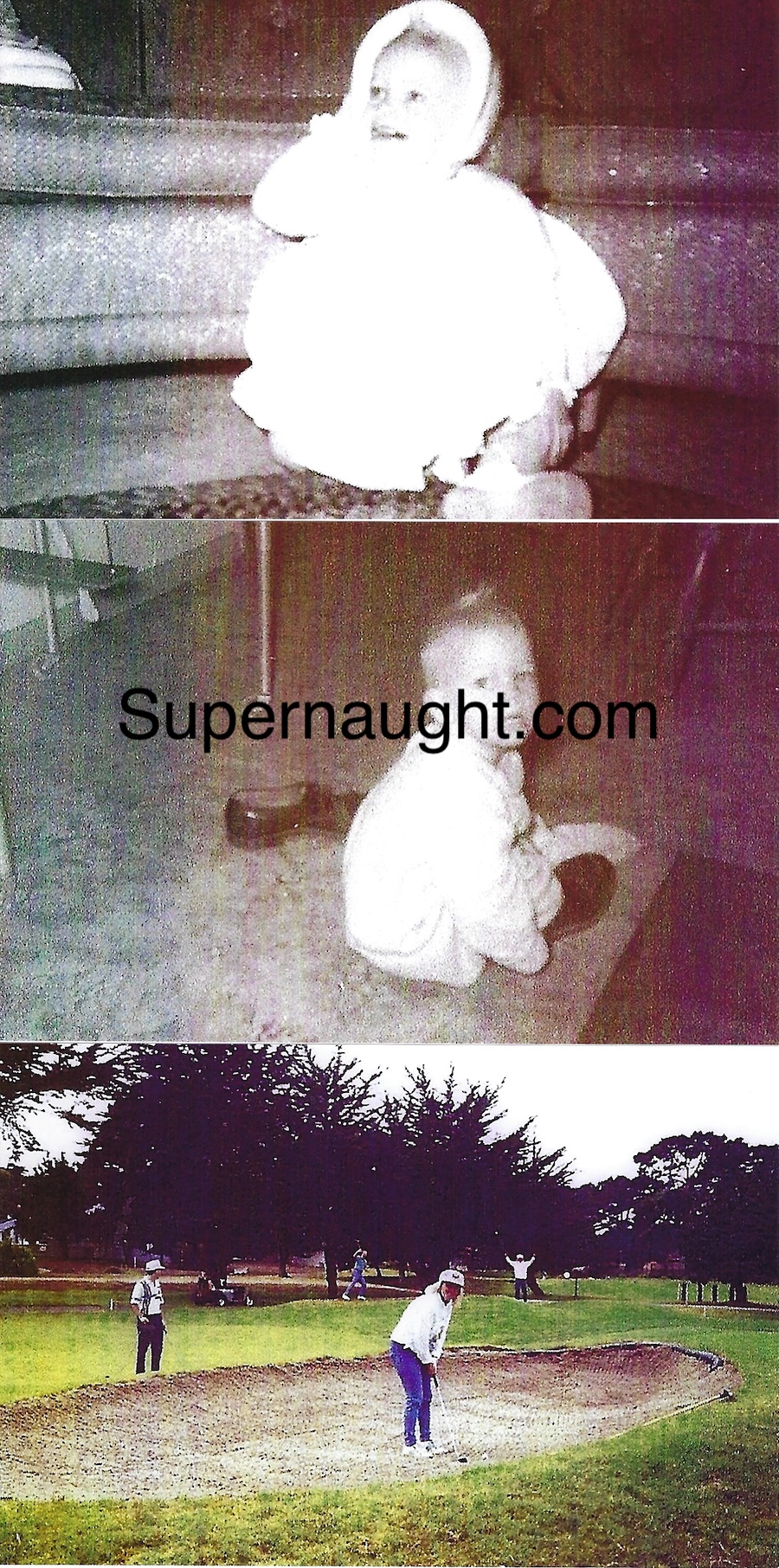 Dana Sue Gray Five Pre Arrest Photos image 2