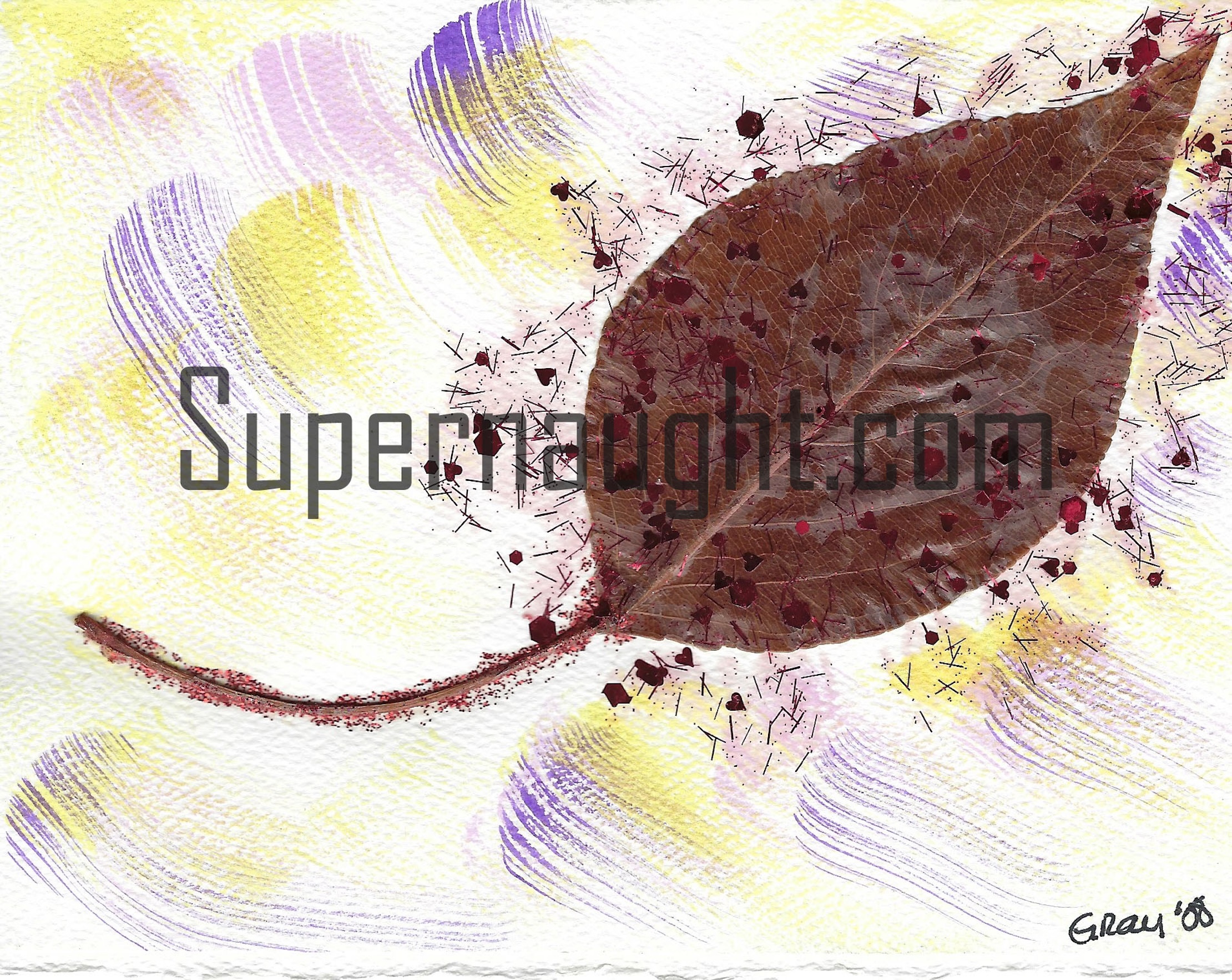 Dana Sue Gray Hand Painted Card Signed