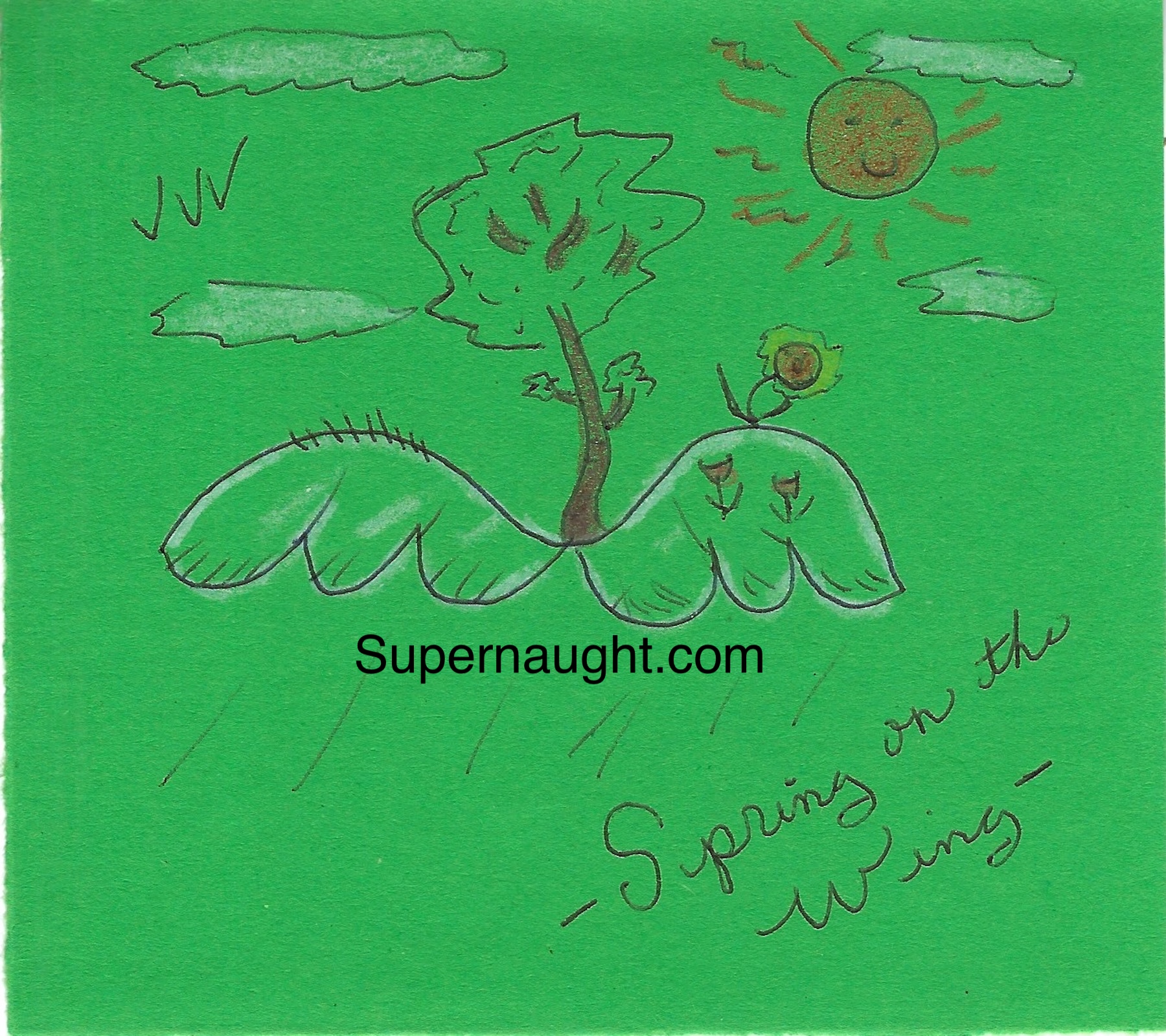 Dennis Rader BTK Green Fling Artwork Card Signed