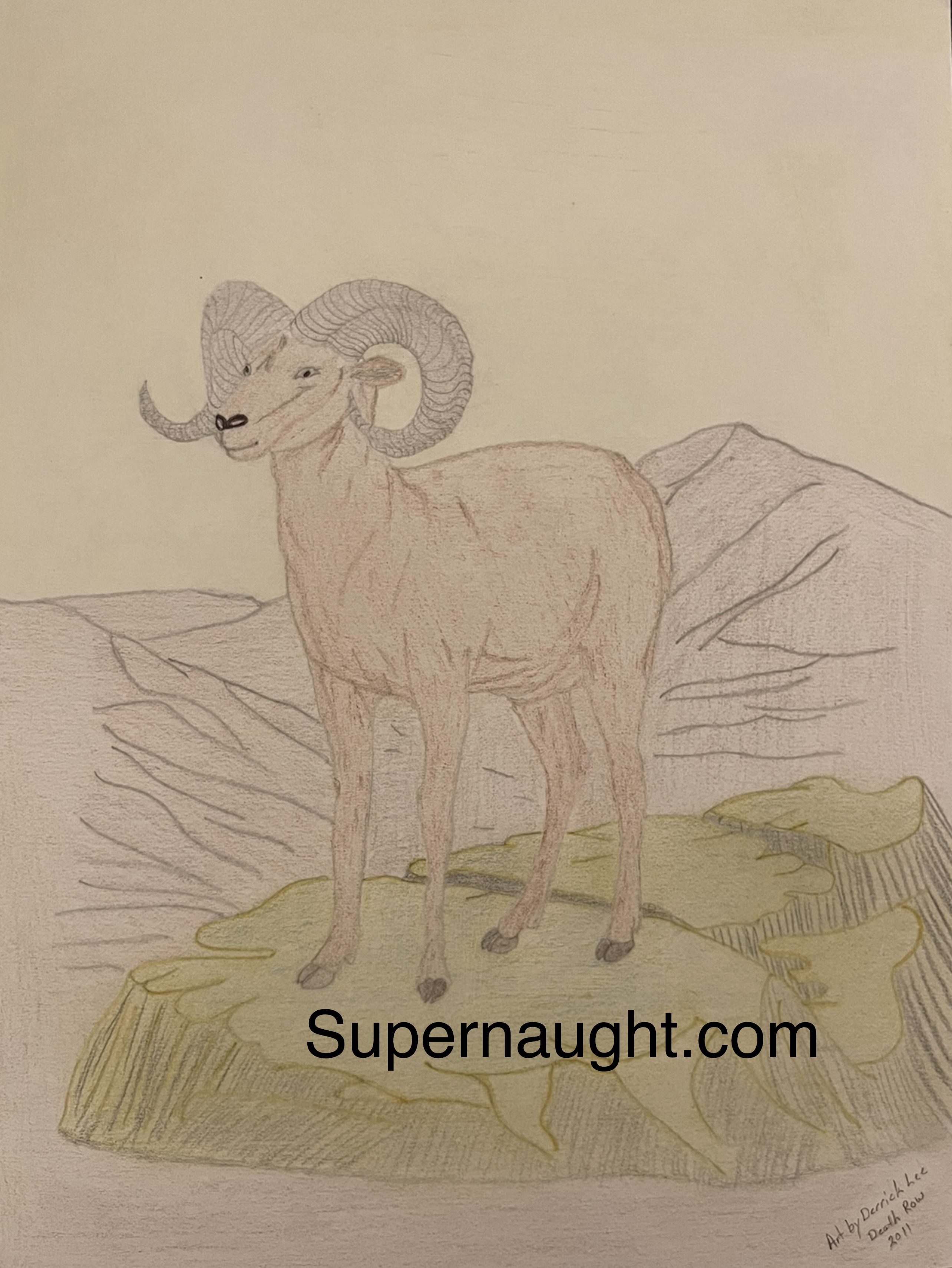 Derrick Lee Ram Artwork Signed