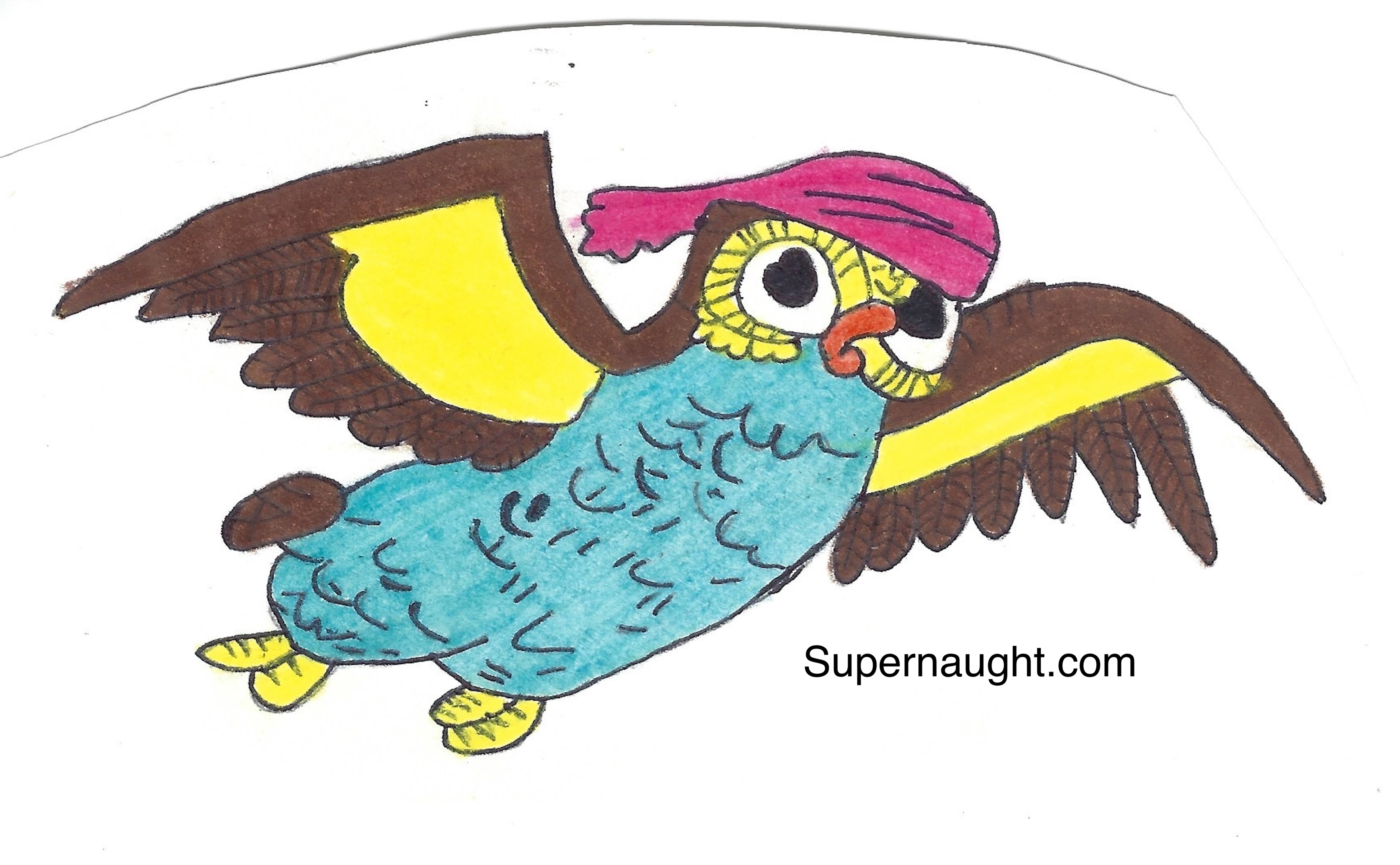 Donald Pee Wee Gaskins Parrot Artwork