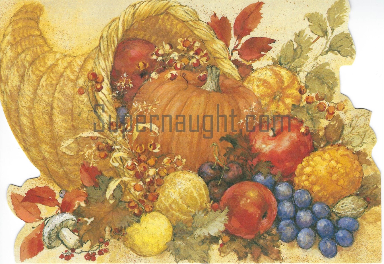 Ellen Boehm Card Letter and Envelope Set Signed image 2