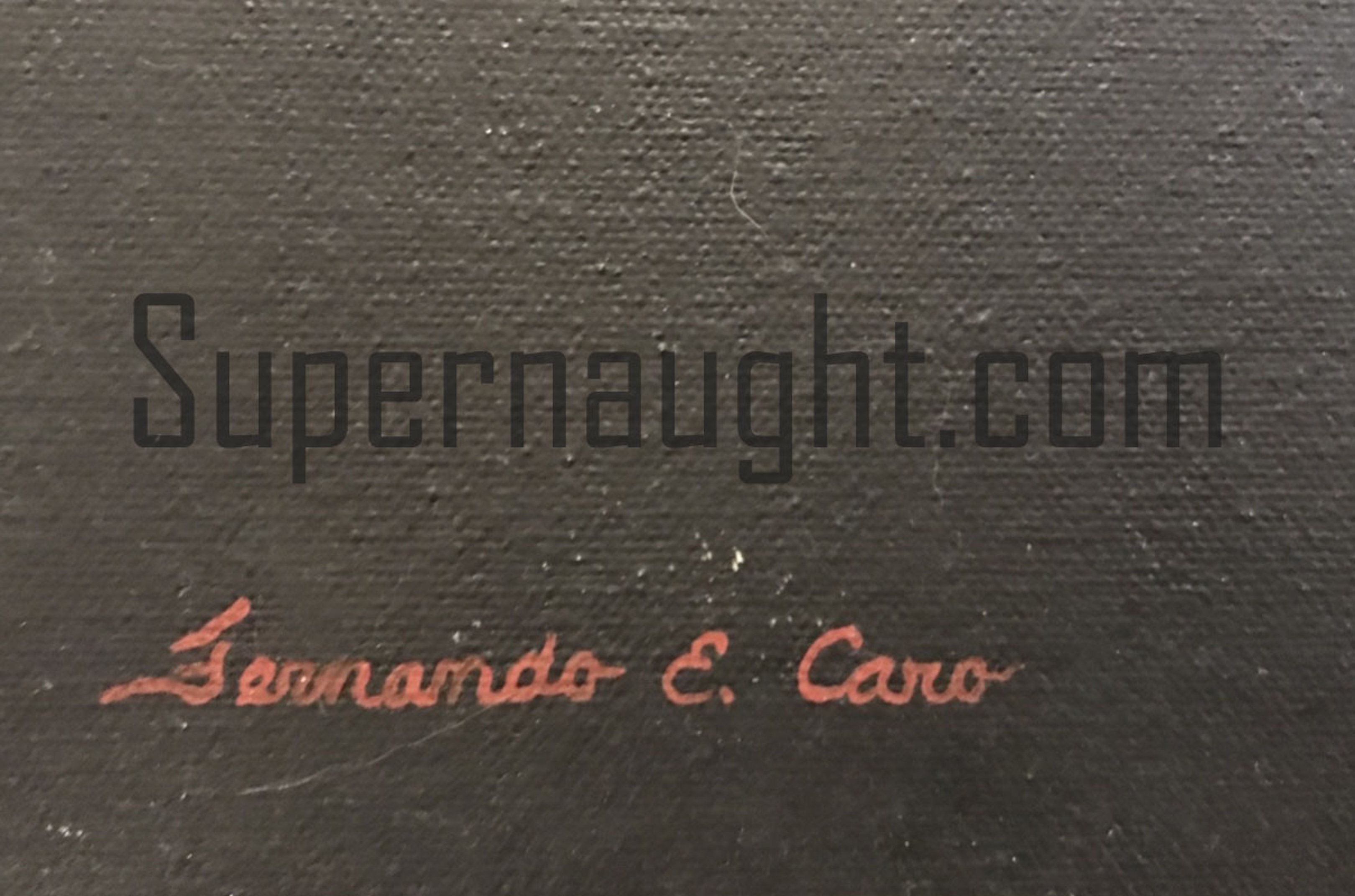 Fernando Caro Native American Artwork Signed image 2