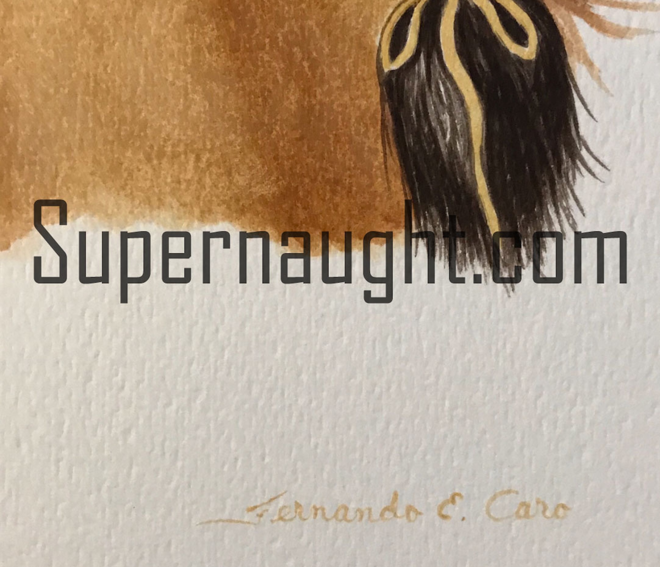 Fernando Caro Native American Indian Painting Signed image 2