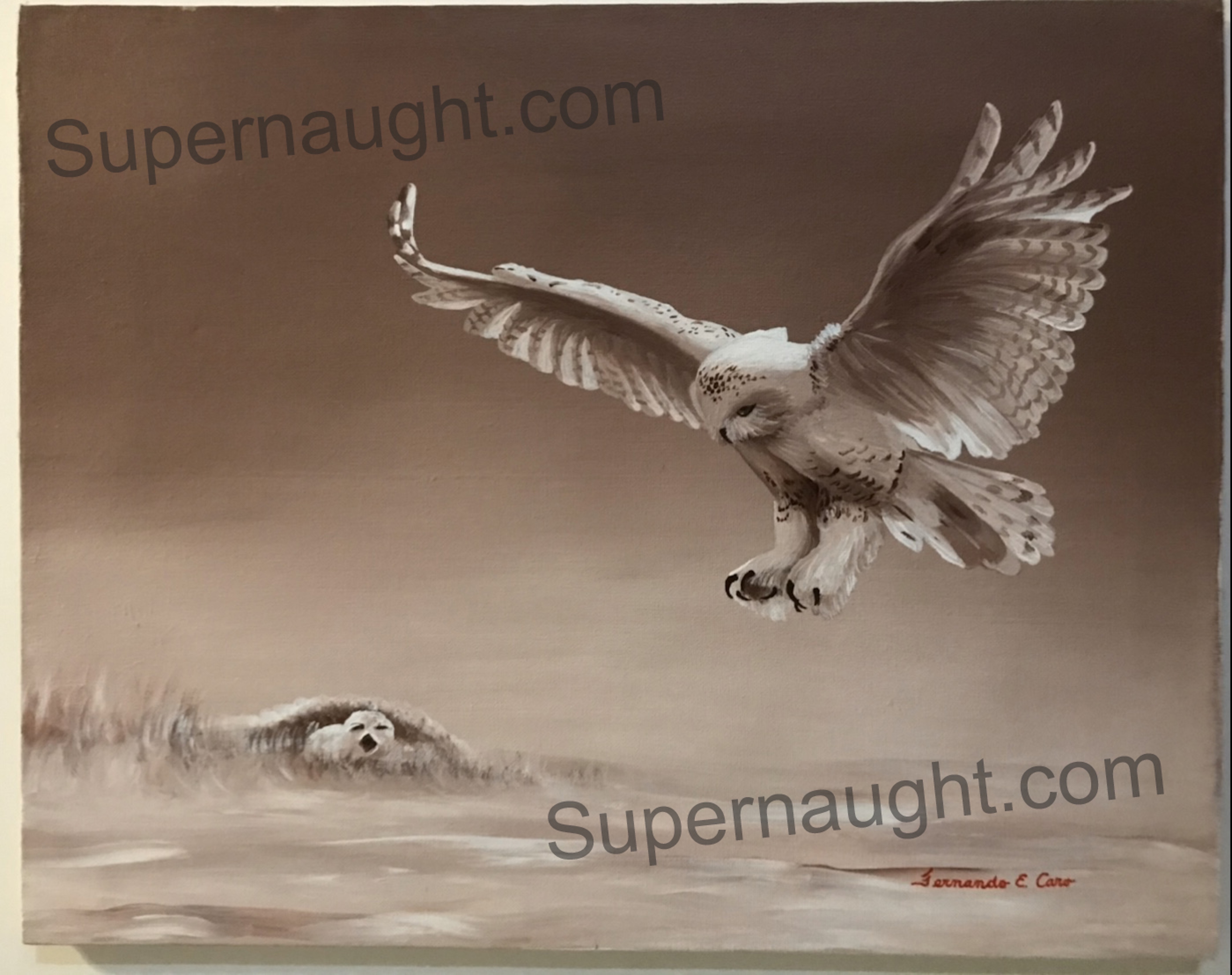 Fernando Caro Painting Signed