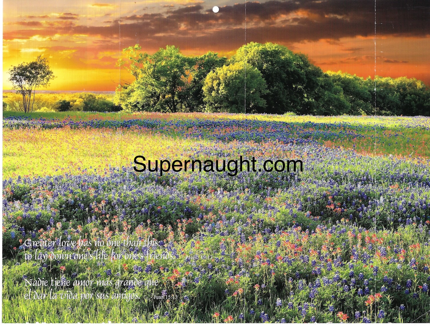 Gary Ridgway June 2020 Calendar With His Writing image 2