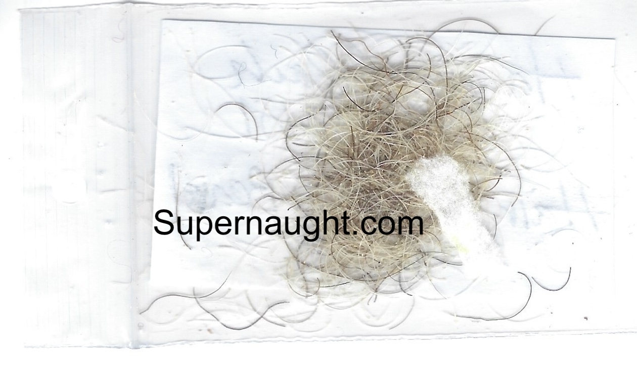Hadden Clark Signed Beard Hair