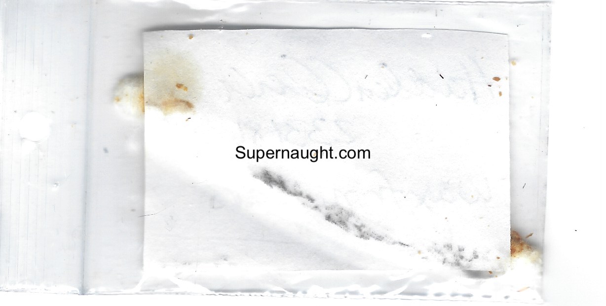 Hadden Clark Signed Ear Wax Q Tip image 2