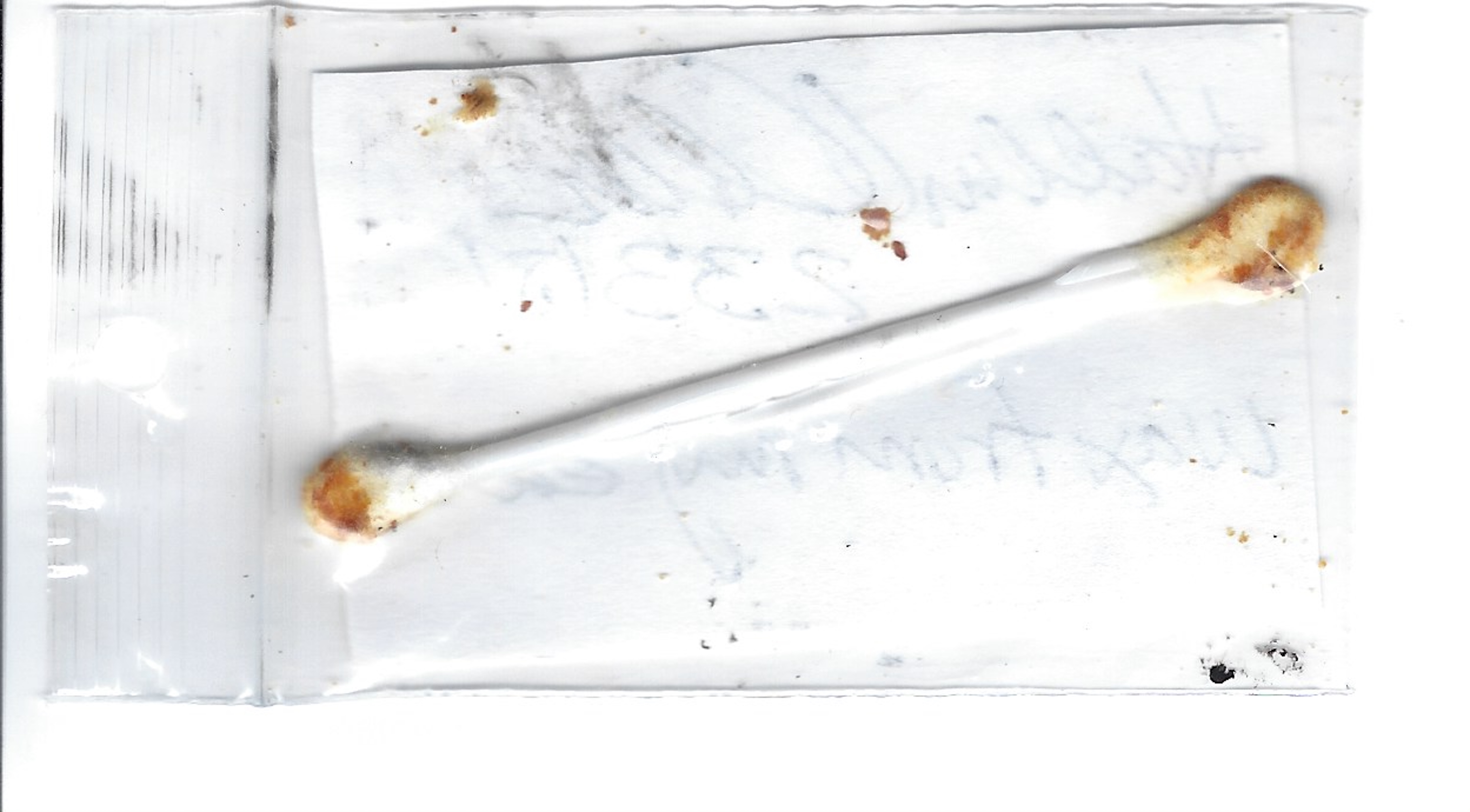 Hadden Clark Used Q Tip Signed image 2