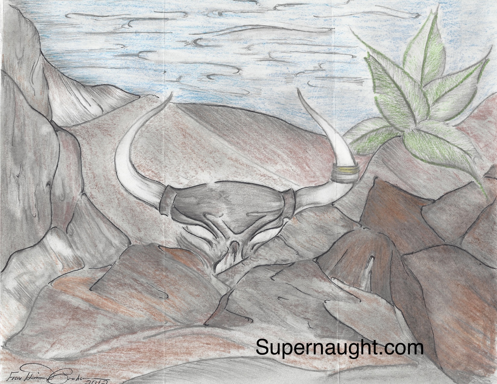 Harrison Graham Longhorn Skull in the Rocks Signed Artwork