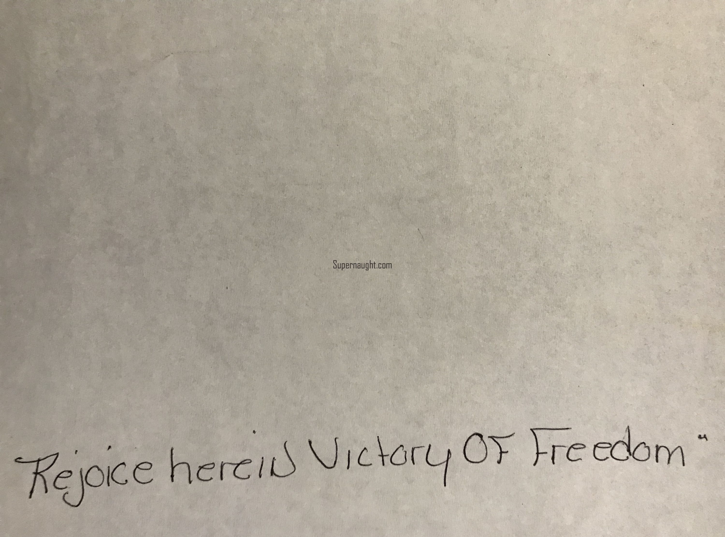 Harrison Graham Rejoice Herein Victory of Freedom Art Signed image 2