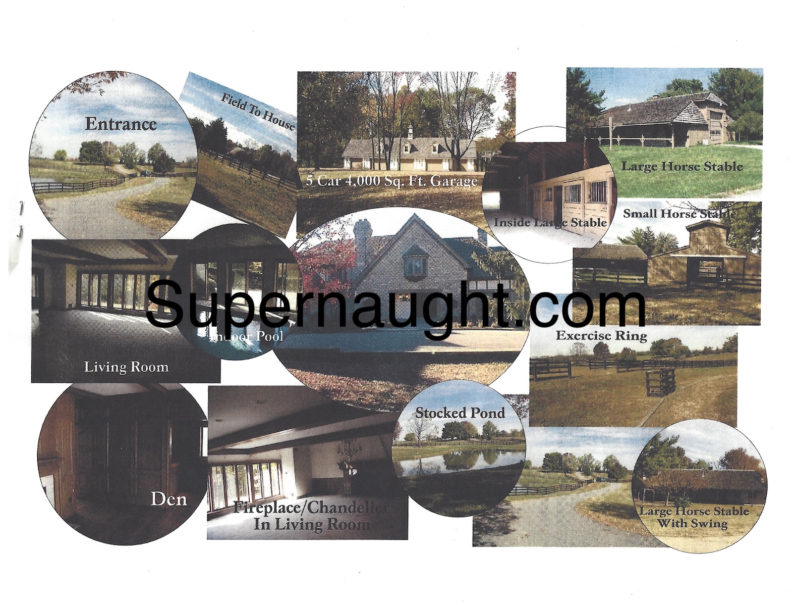 Herbert Baumeister  Two Color Ads For the Sale His Home Fox Hollow Farms image 2