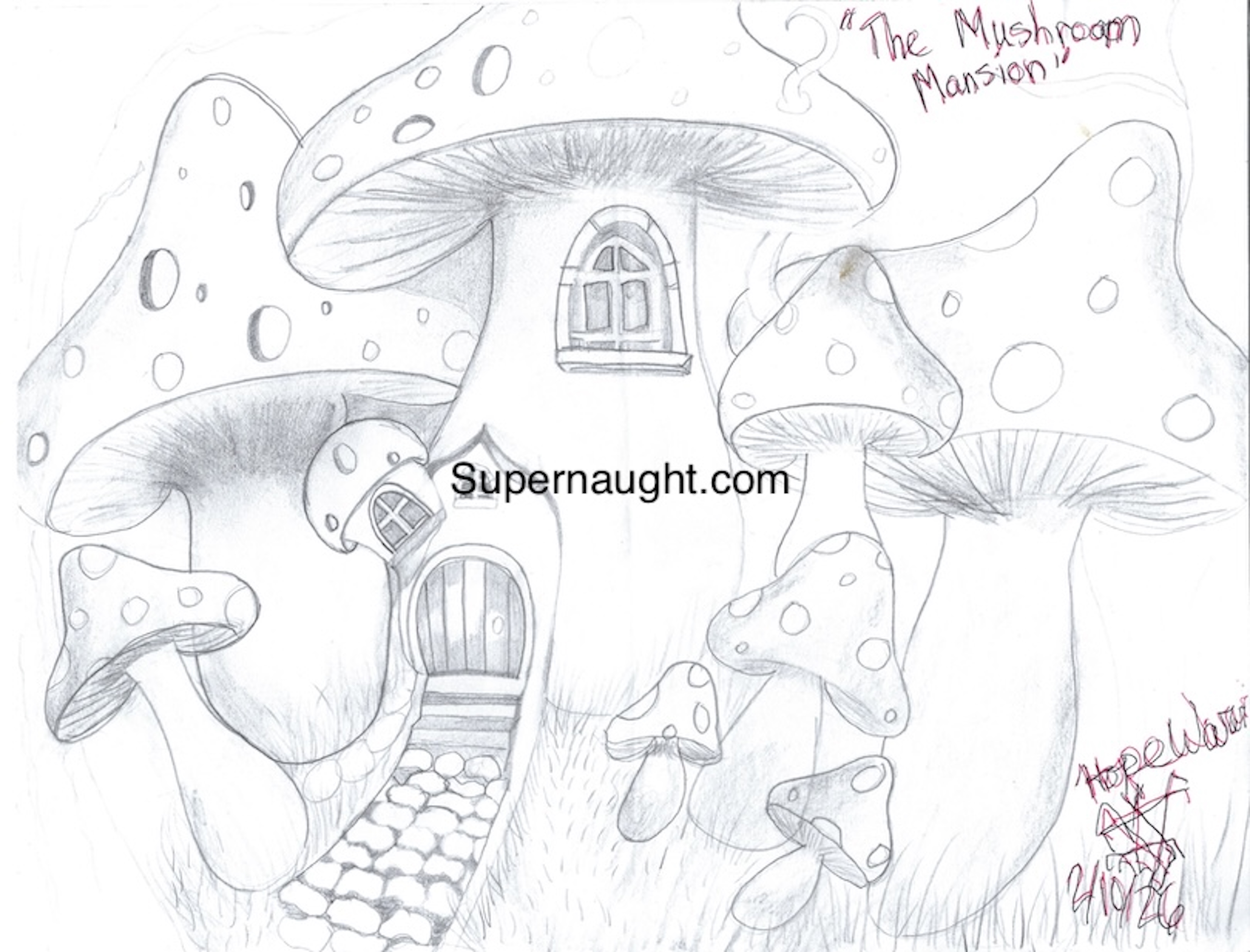 Hope Warvi Mushroom Mansion Artwork Signed