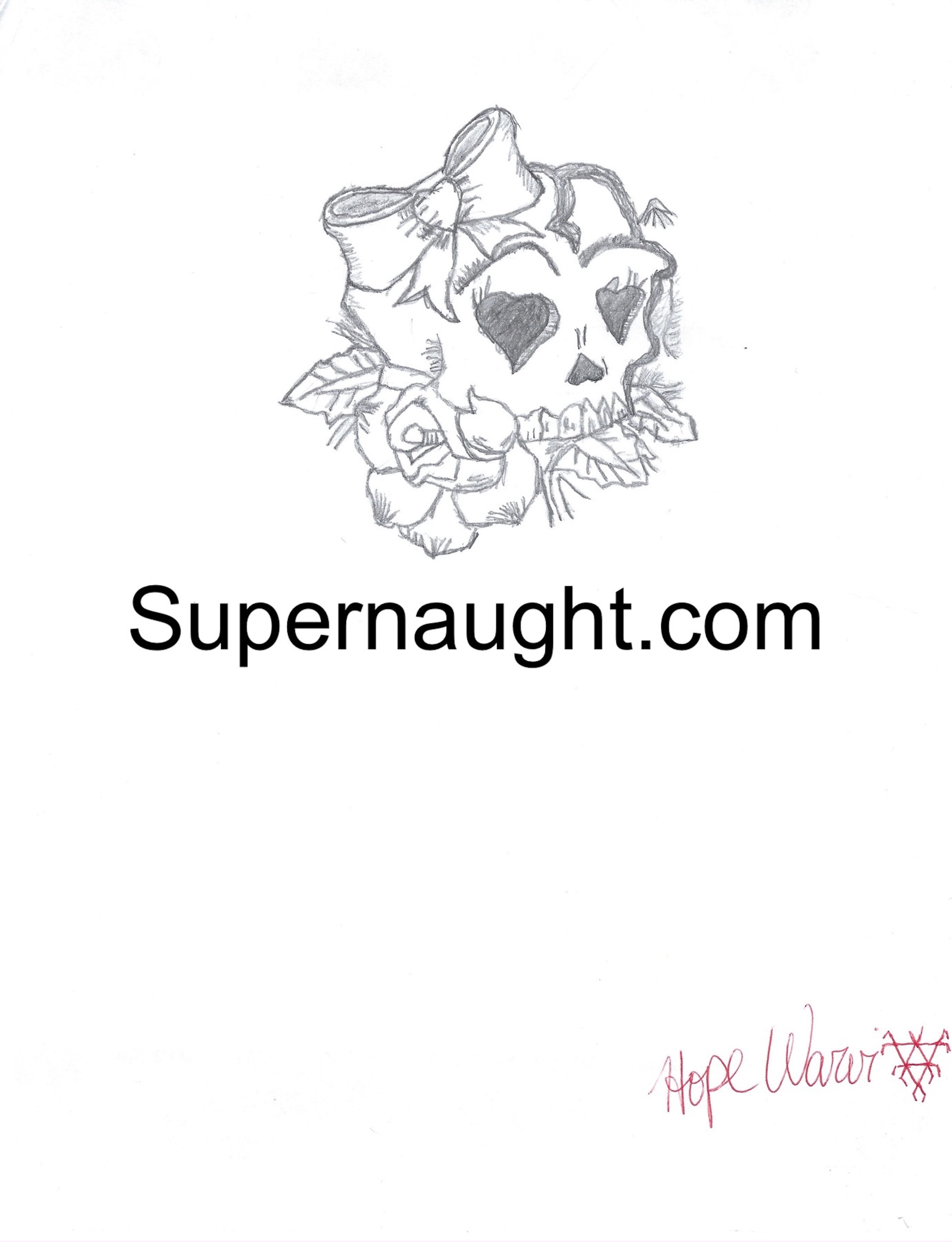 Hope Warvi Skull Artwork Signed