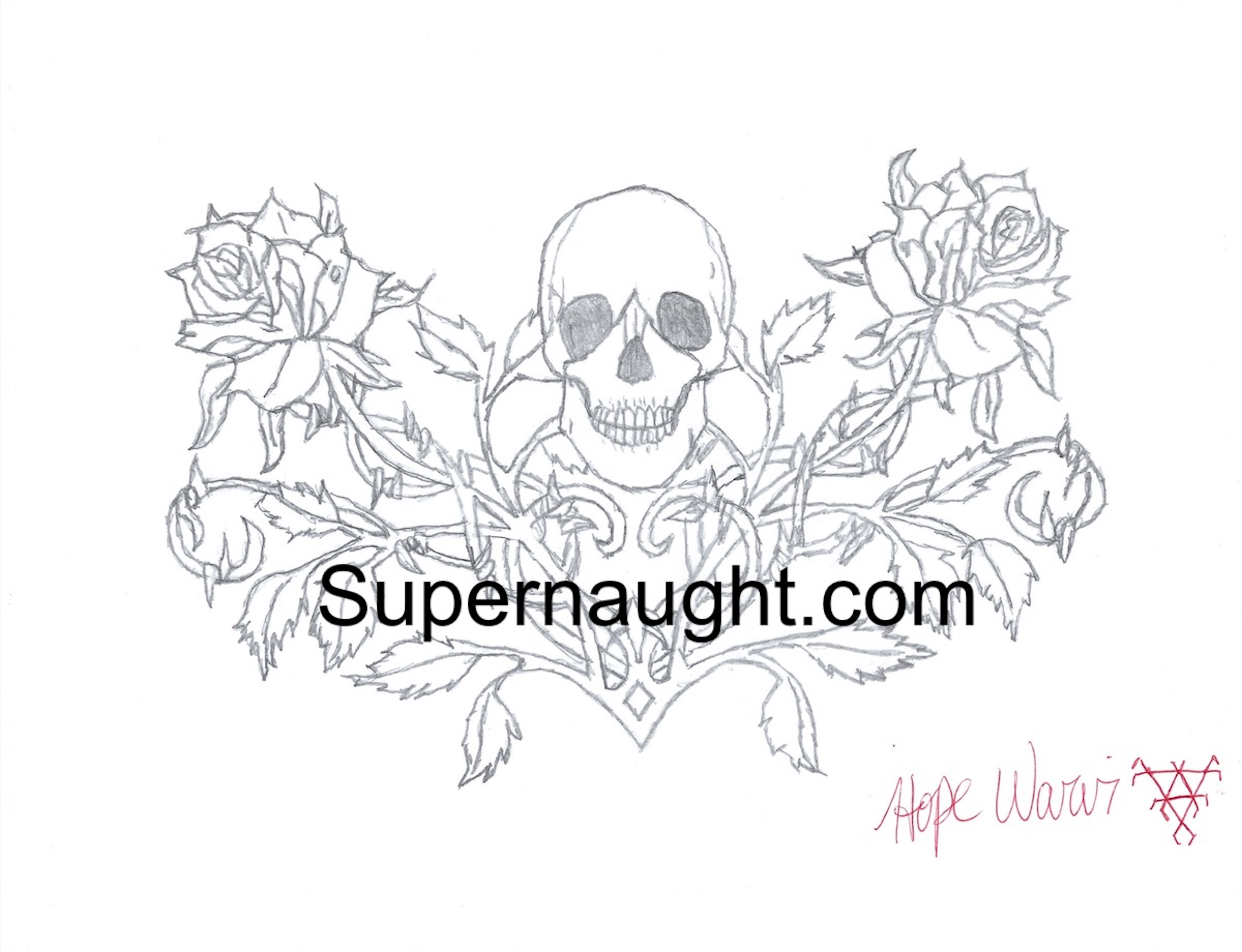 Hope Warvi Skull Drawing Signed