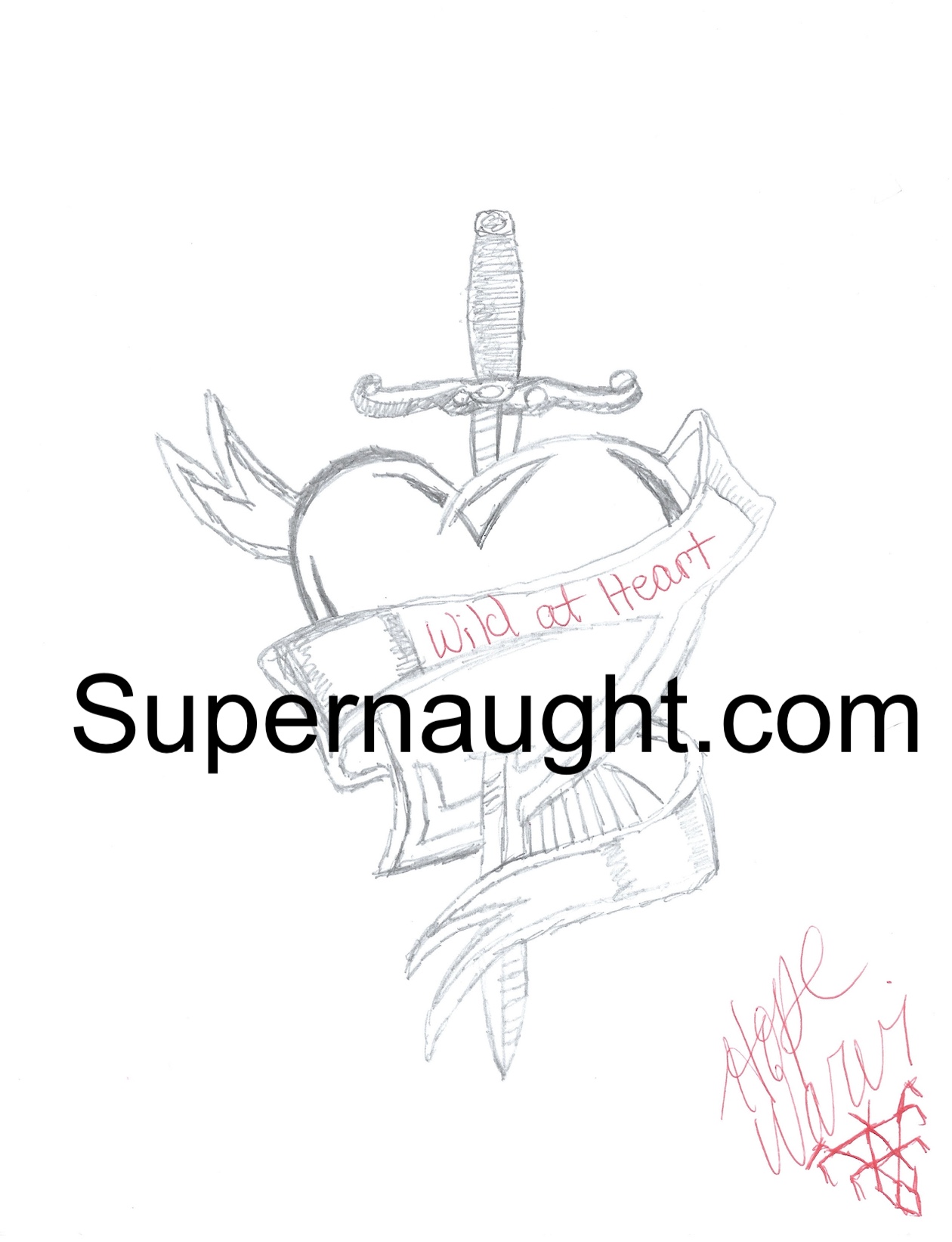 Hope Warvi Wild at Heart Artwork Signed