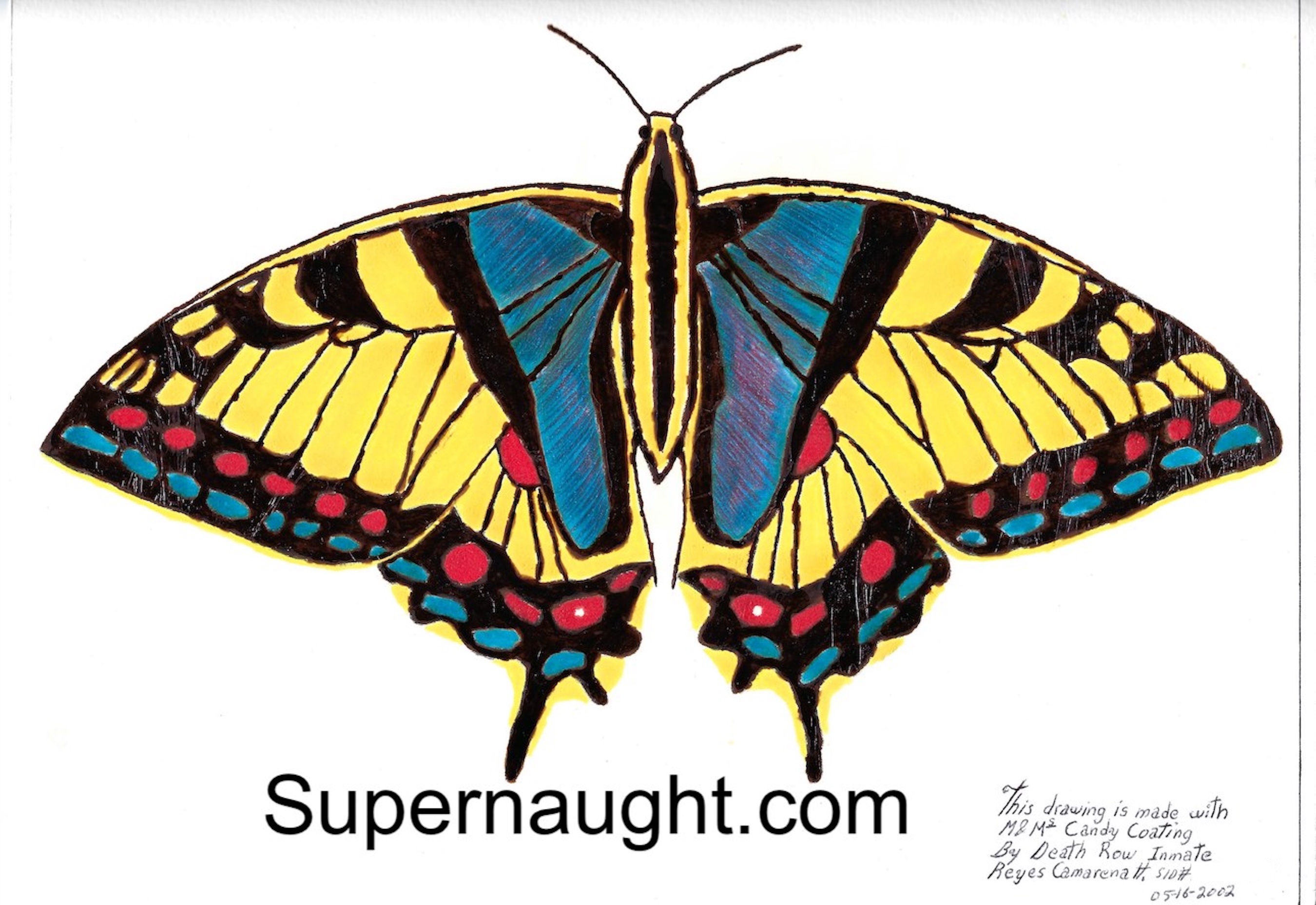 Horacio Reyes Camarena Butterfly Artwork Signed