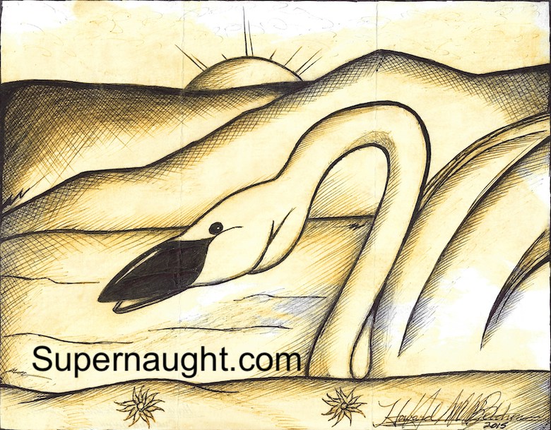 Howard Belcher Curious Swan Artwork Signed