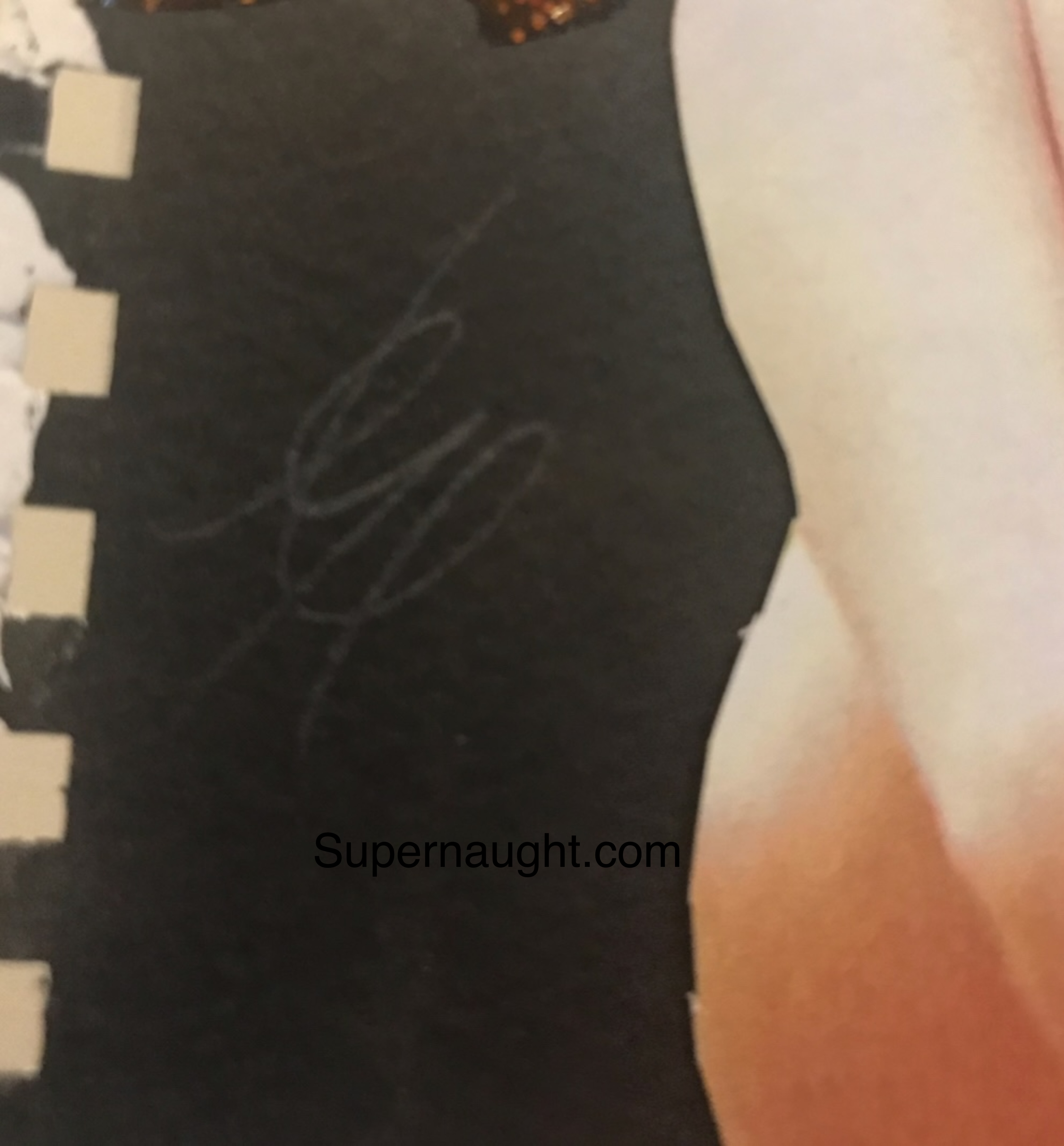 Issei Sagawa Female Collage Art Signed image 2