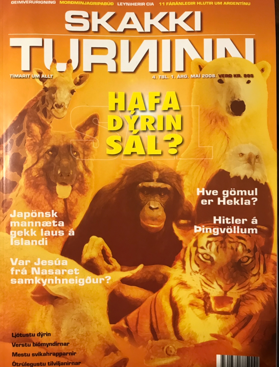 Issei Sagawa Skakki Turninn Iceland Magazine May 2008