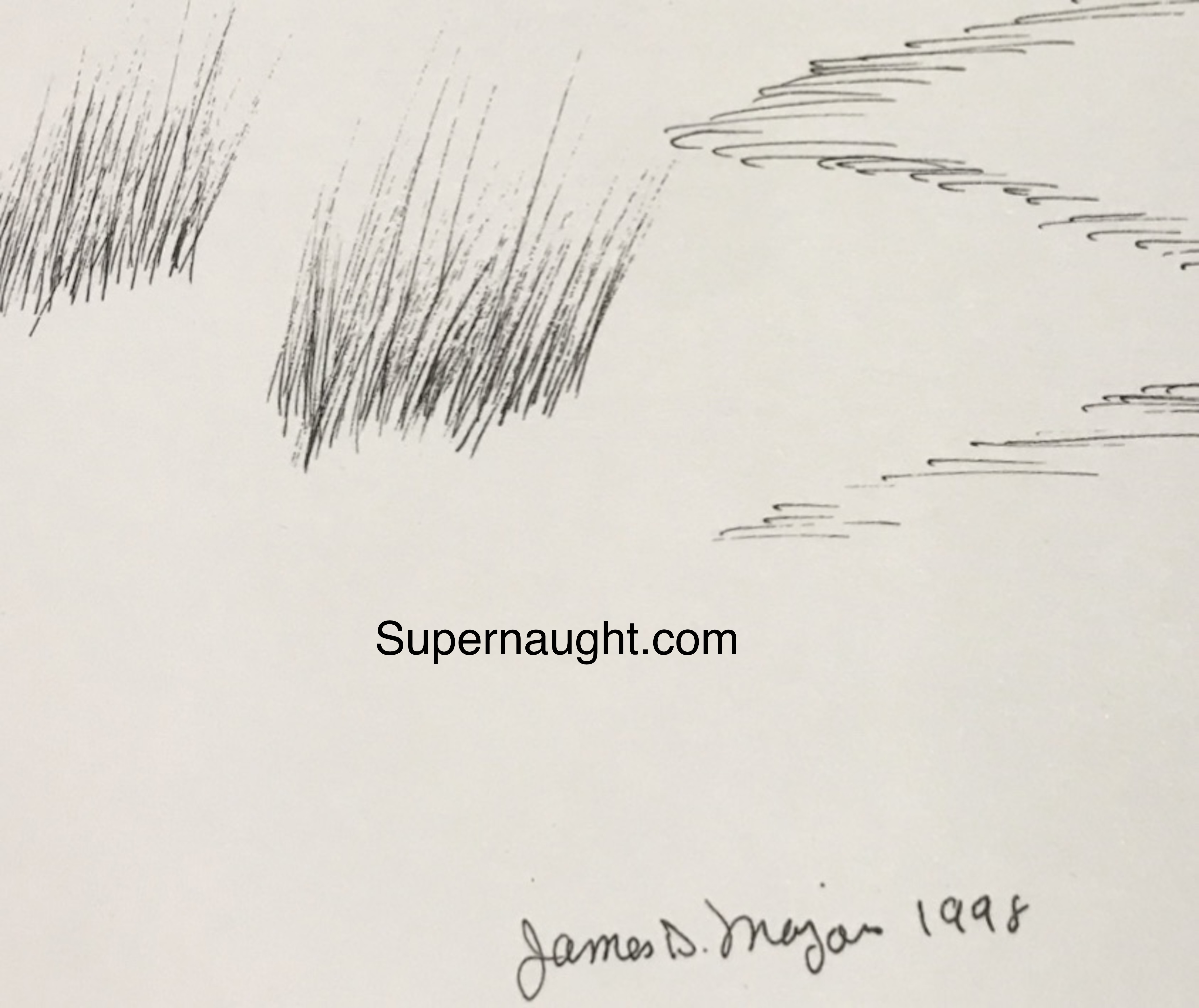 James Majors Signed Zebra Artwork