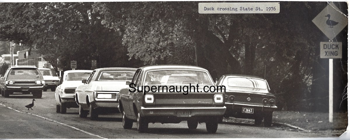 Jerry Brudos 1976 Duck Crossing Salem OR