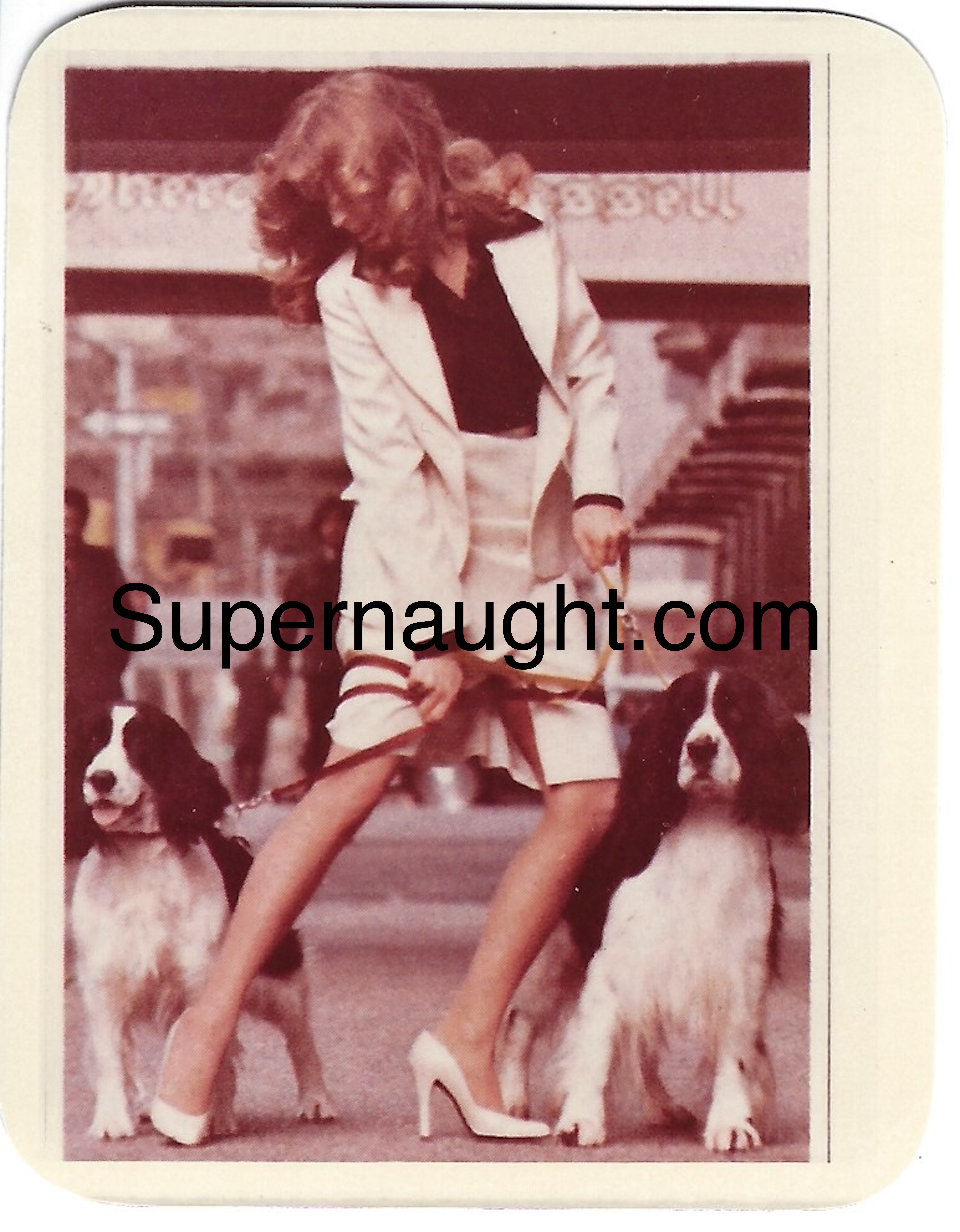 Jerry Brudos Woman in High Heels Walking Dogs Photo